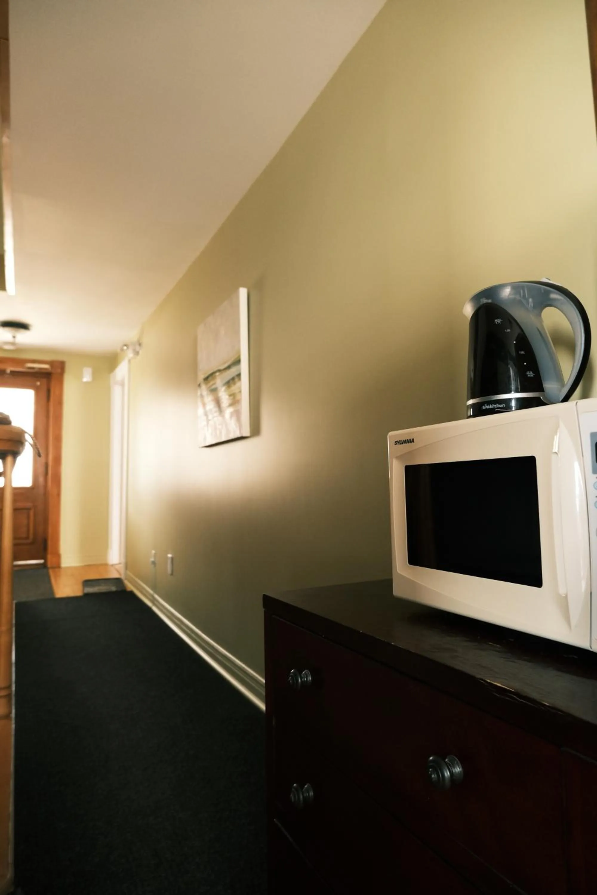 microwave in Les Pinsons des Rives