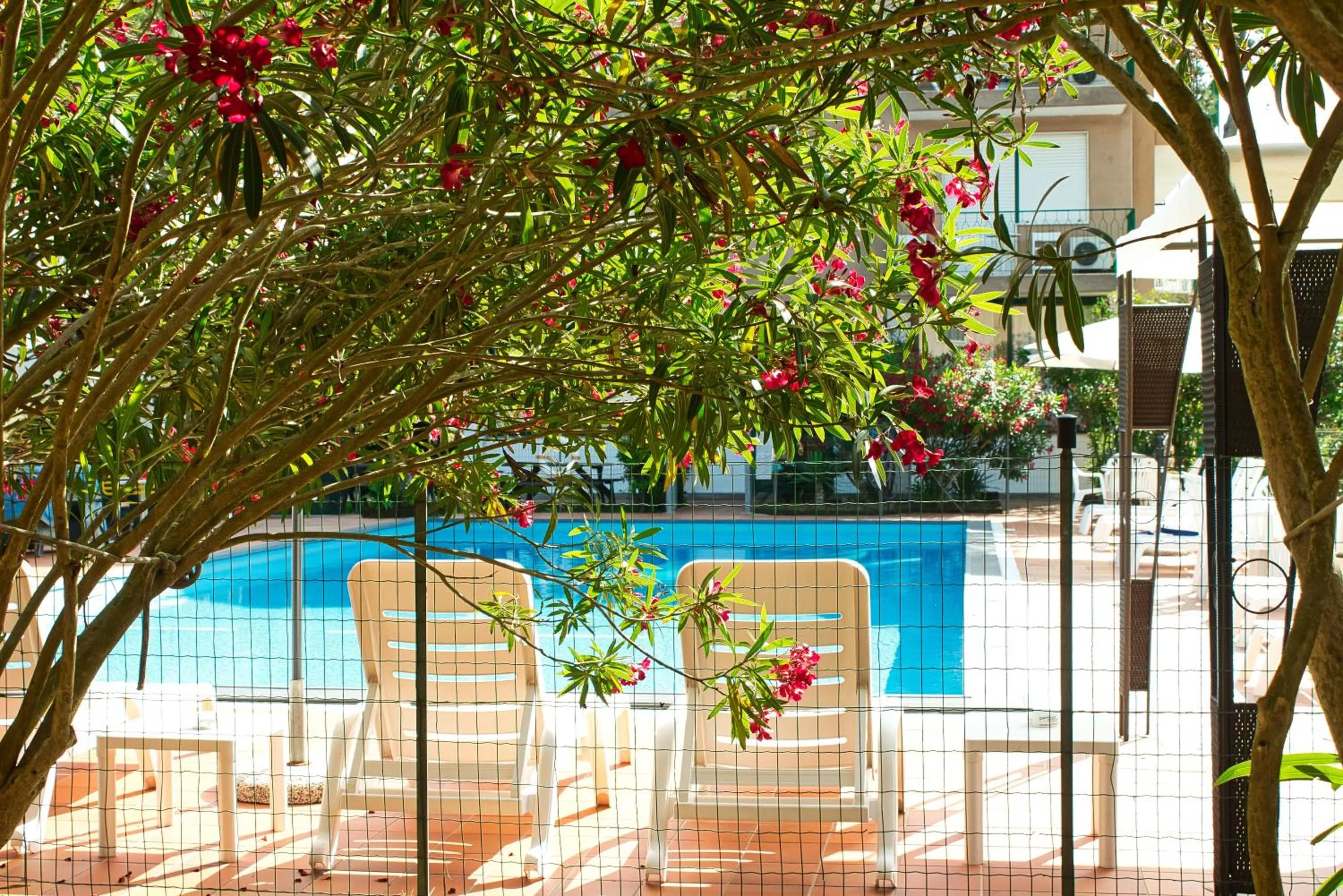 Swimming pool in Hotel Eden