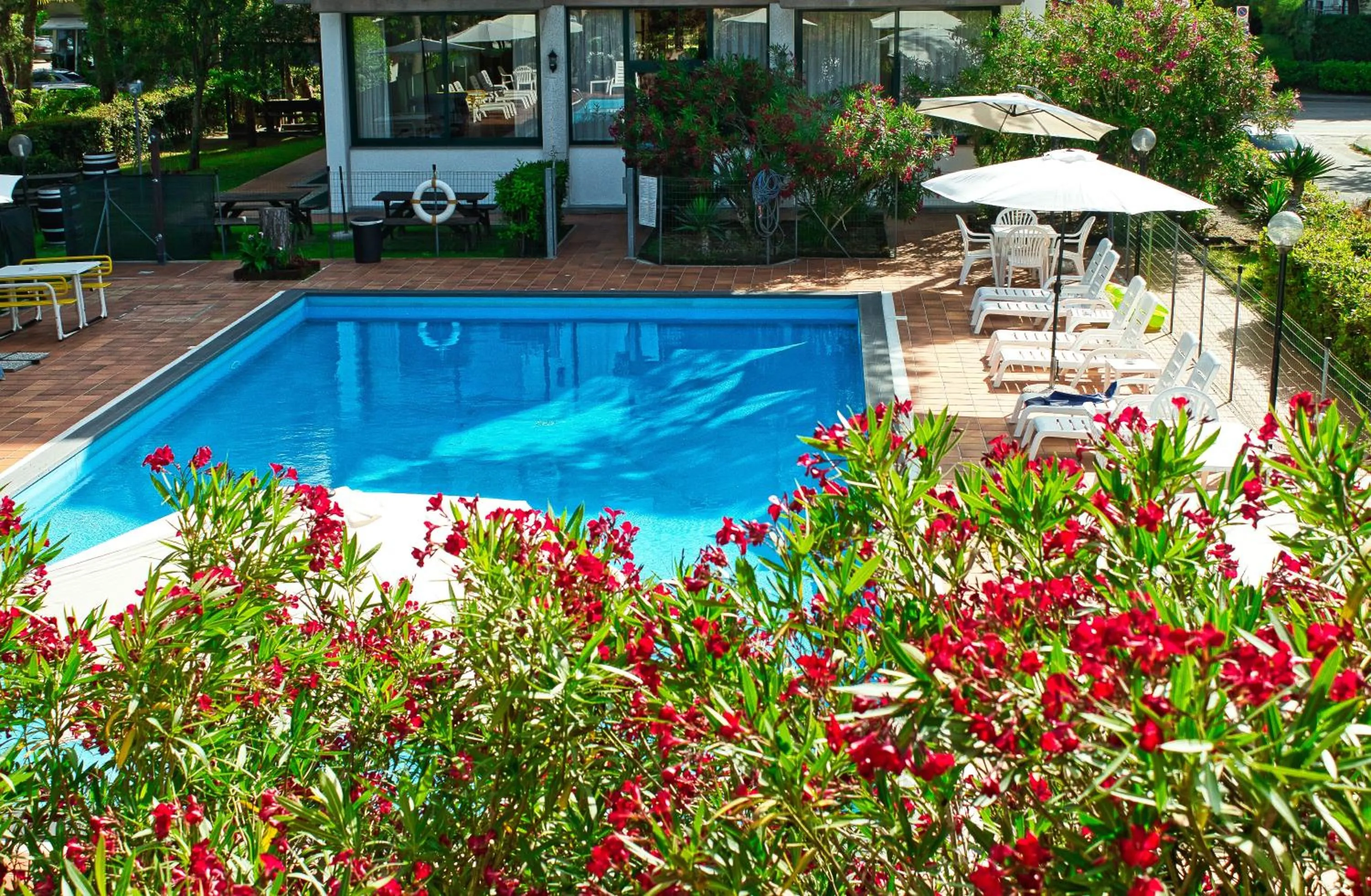 Swimming pool in Hotel Eden