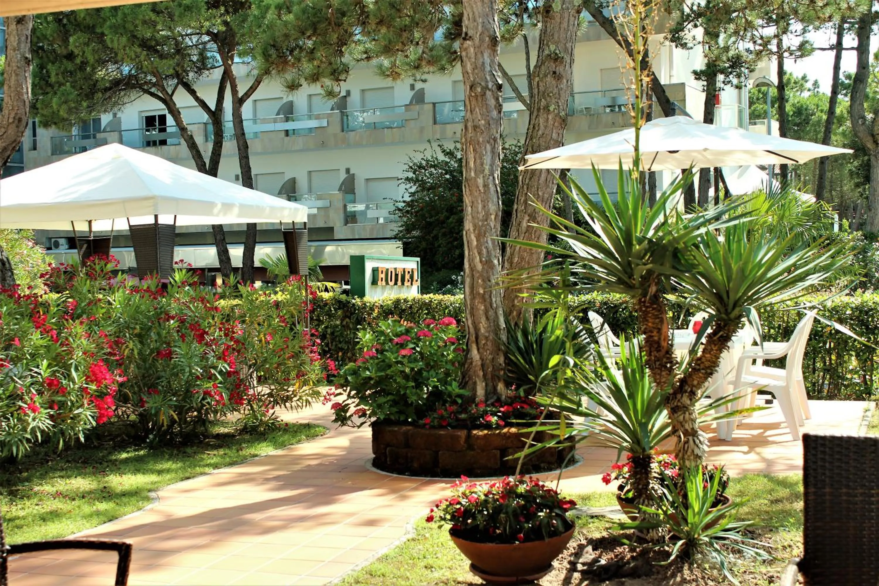 Patio in Hotel Eden