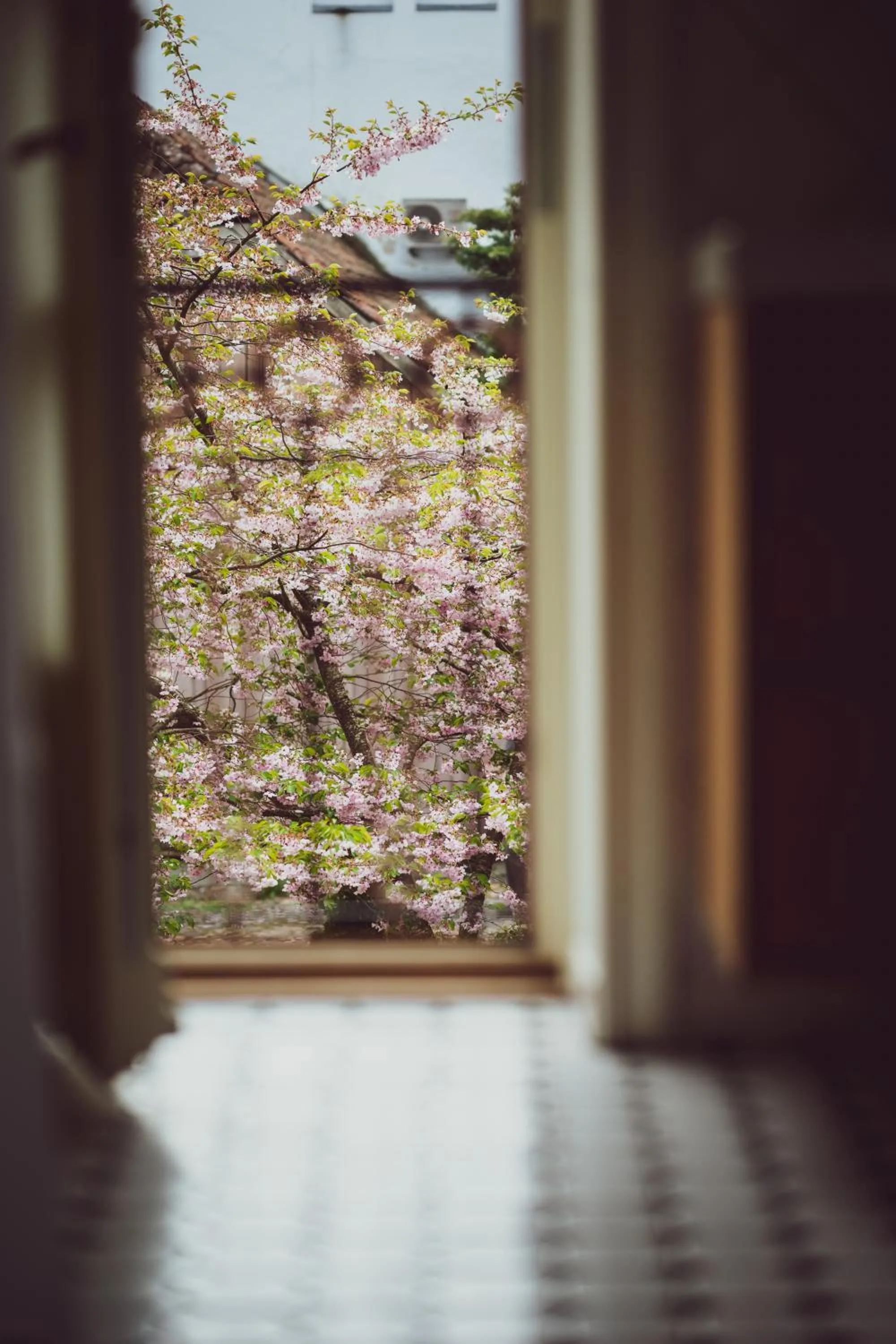 View (from property/room) in Vanalinna Boutique Hotel