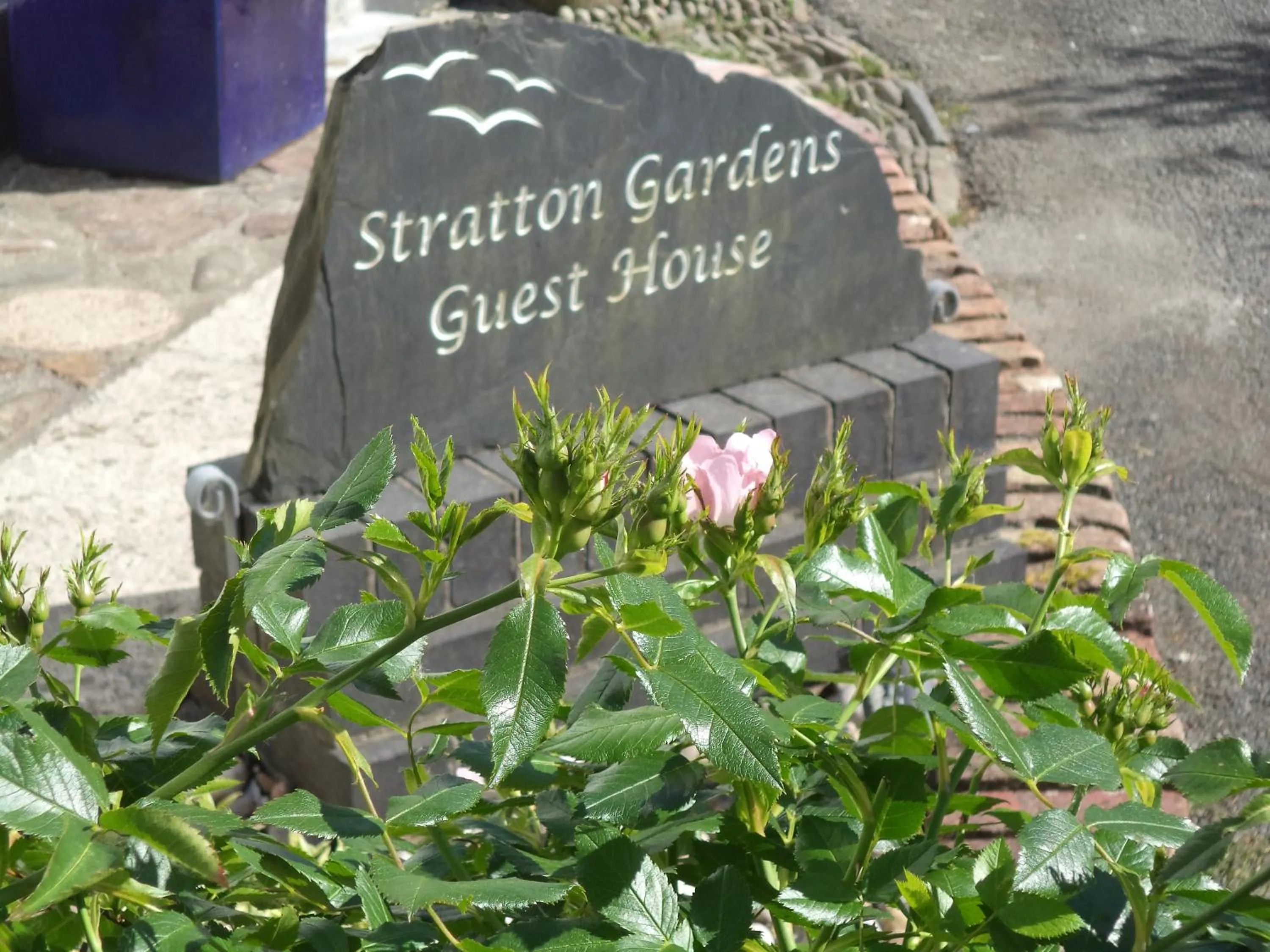 Property building in Stratton Gardens