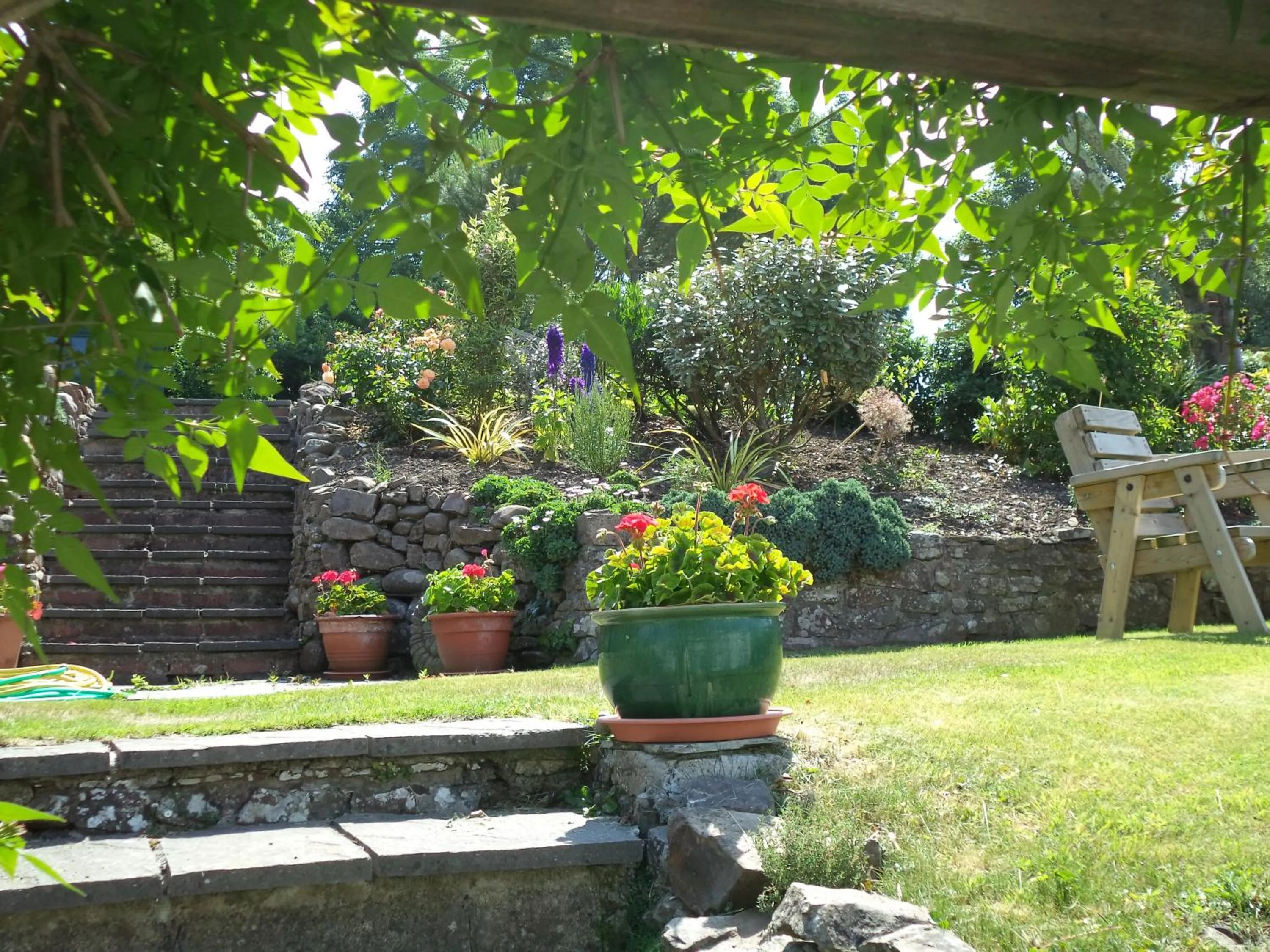 Garden in Stratton Gardens