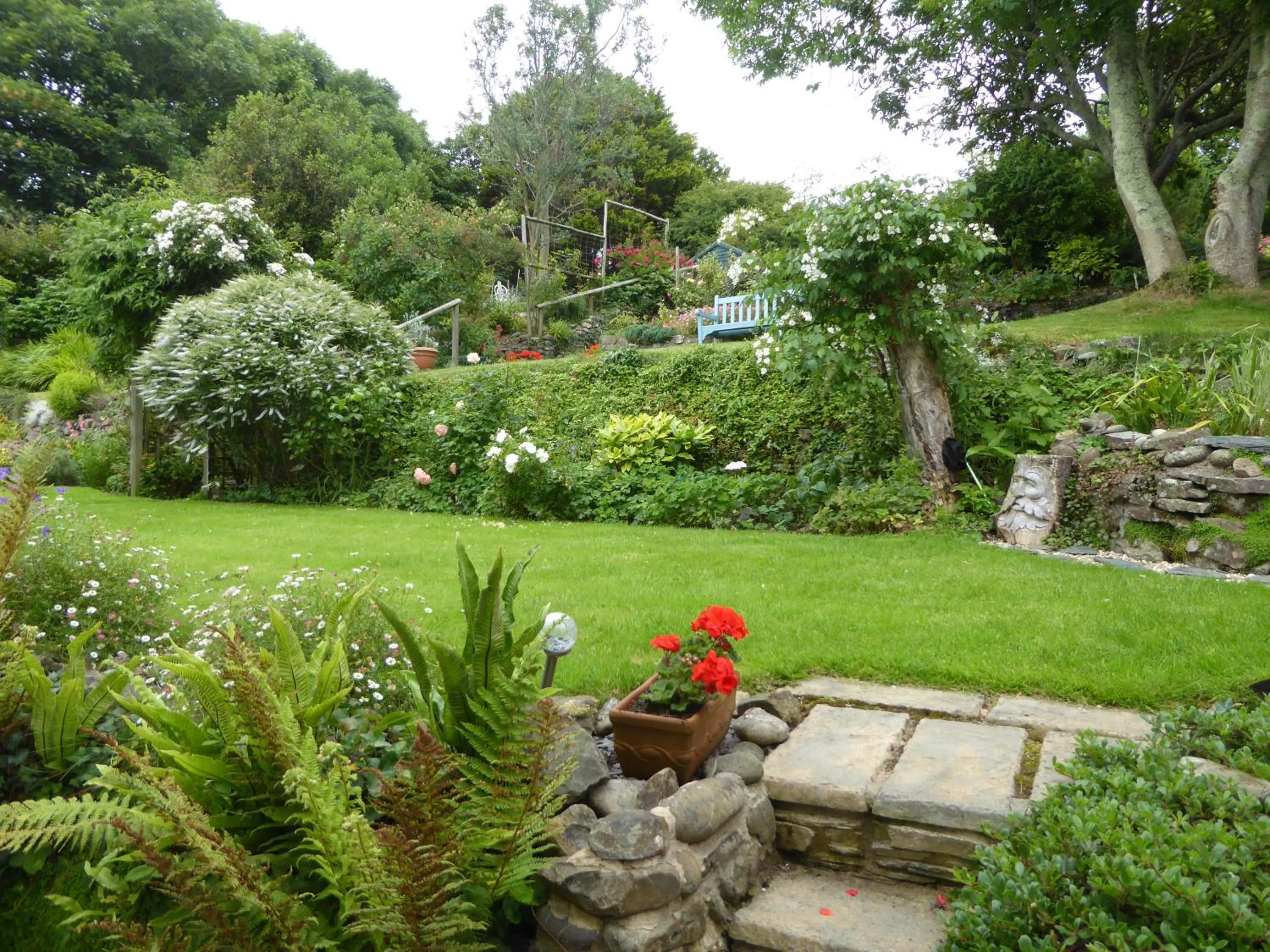 Garden in Stratton Gardens