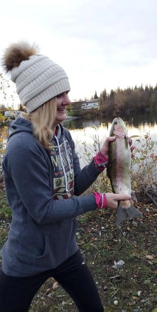 Alaska Log Cabins on the Pond