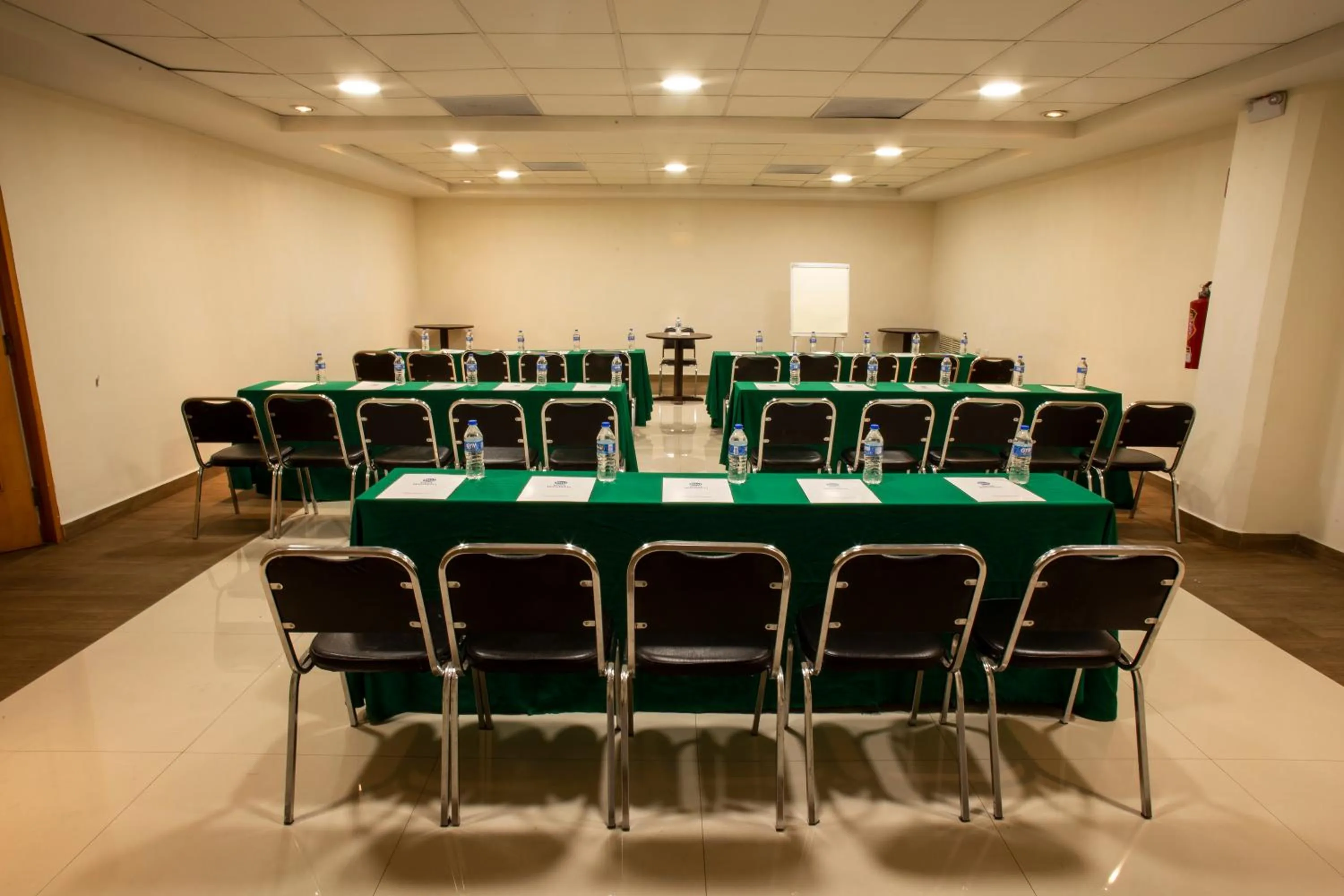 Business facilities in Hotel Plaza Calzada