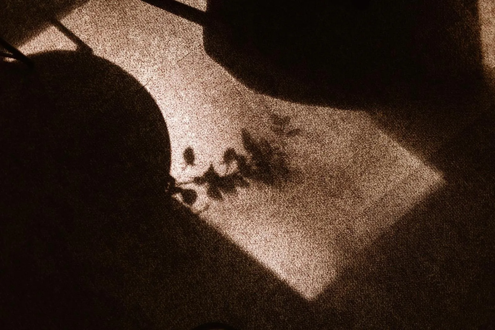 Hotel Restaurant Belvédère