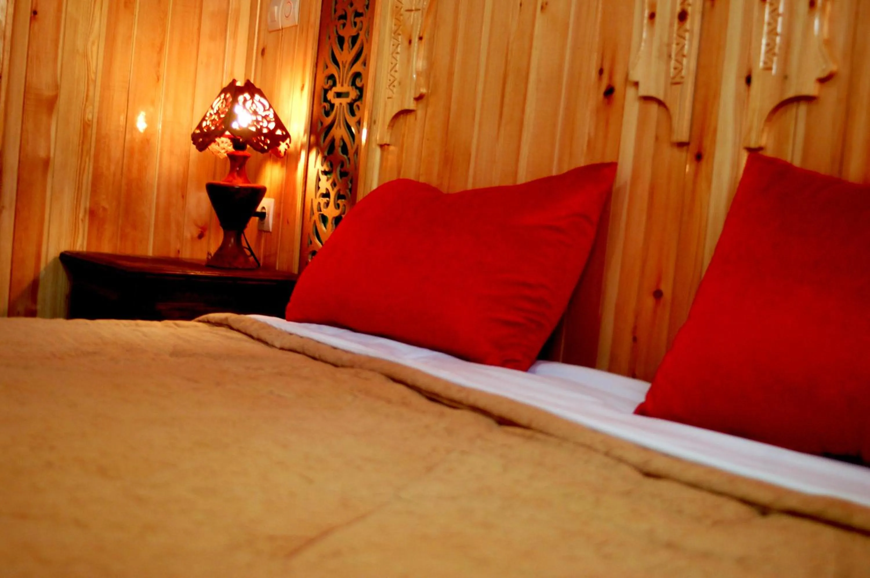 Bed in Gite Tizi Mizik