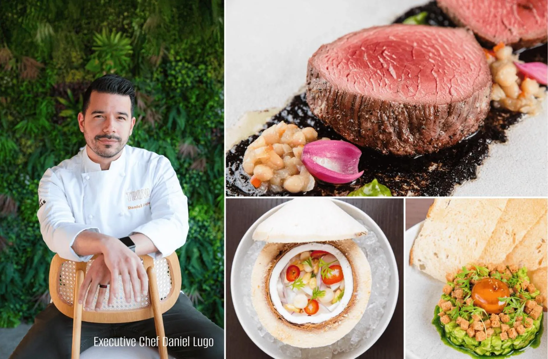 Food and drinks in Wyndham Palmas Beach and Golf Boutique Resort