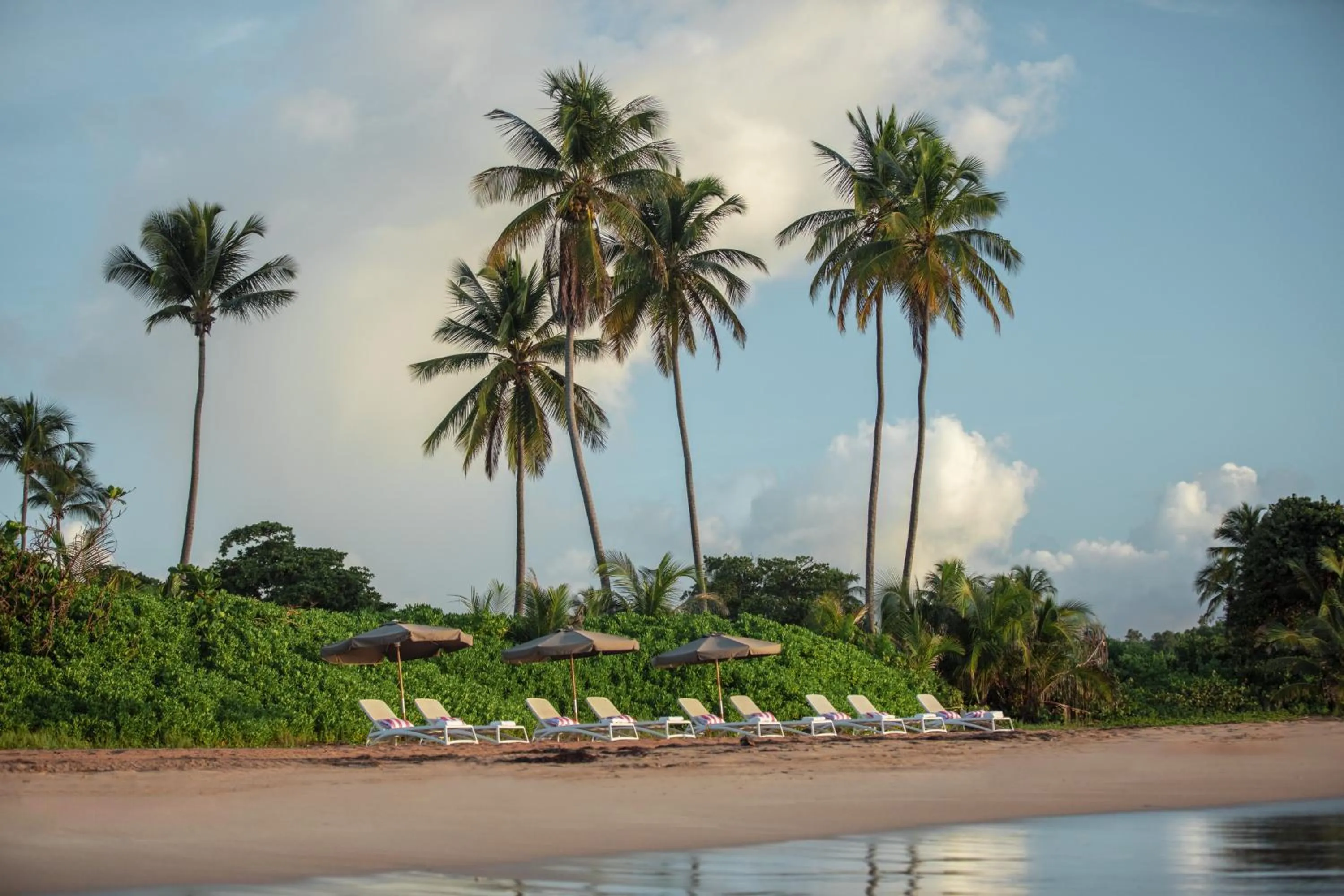 Beach in Wyndham Palmas Beach and Golf Boutique Resort