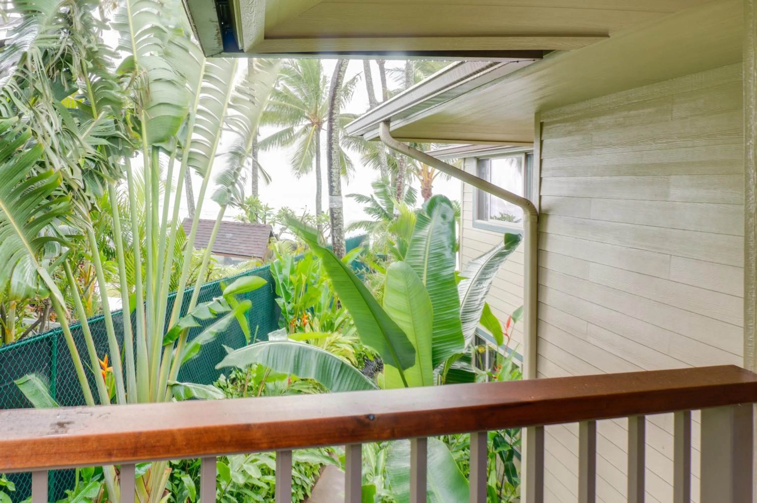 Garden view in Hale Napili