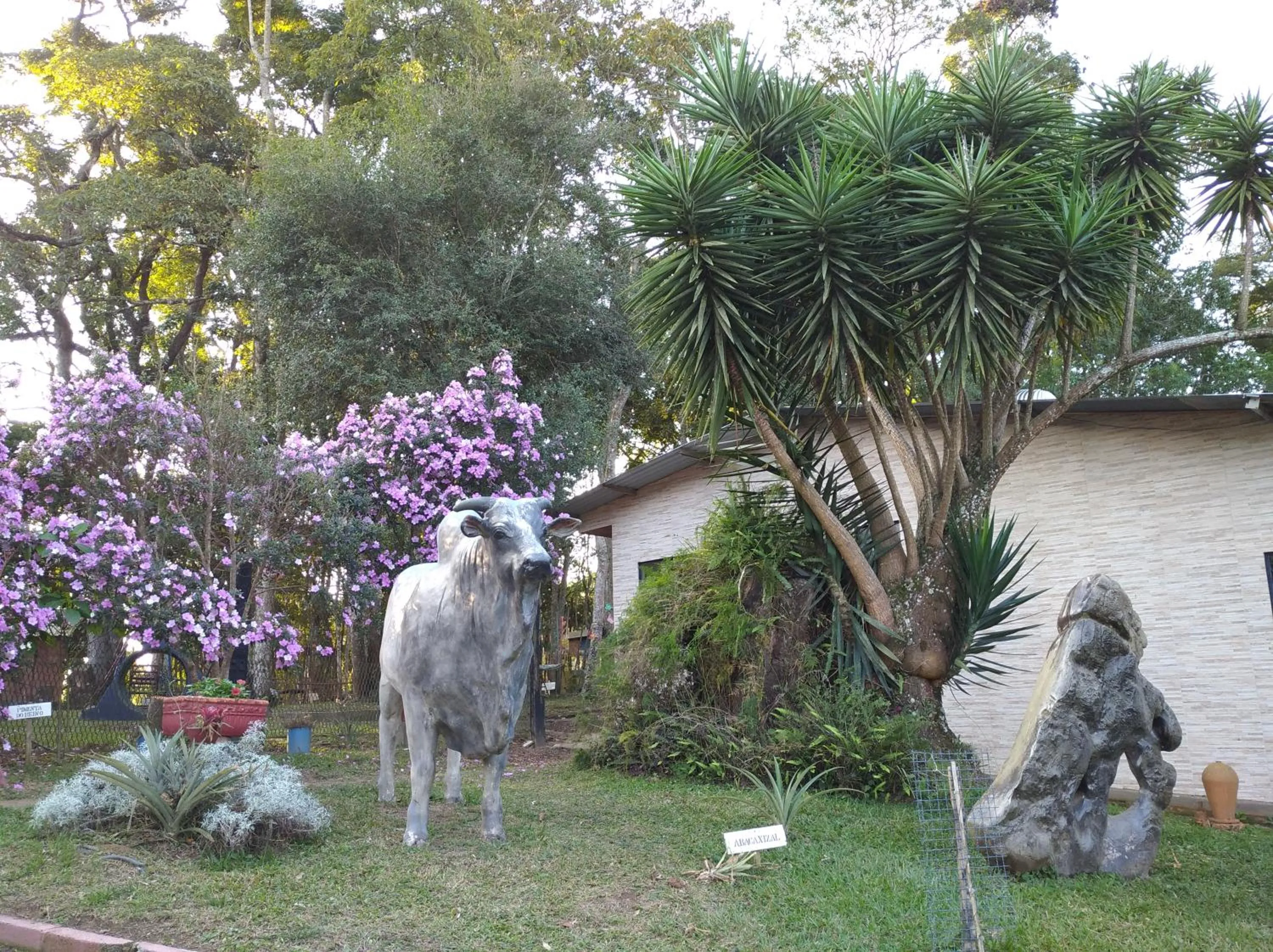 Garden in Pousada Juriti - Eco Hotel