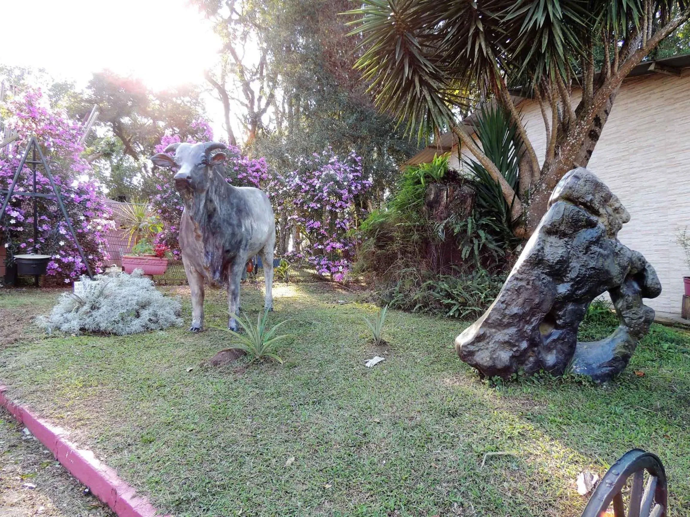 Garden in Pousada Juriti - Eco Hotel