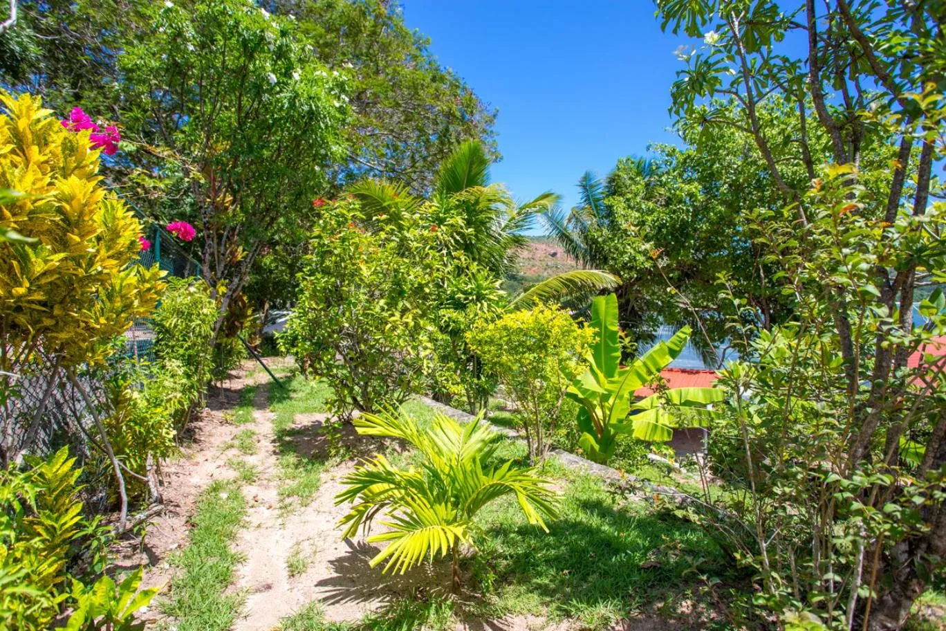 Garden in La Saline
