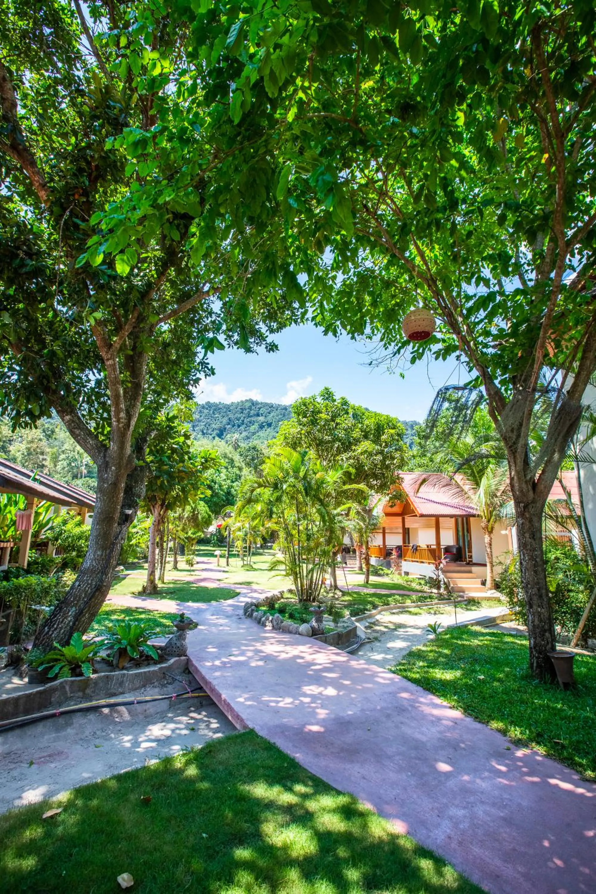 Garden view in Nice Beach Resort Koh Pha-ngan