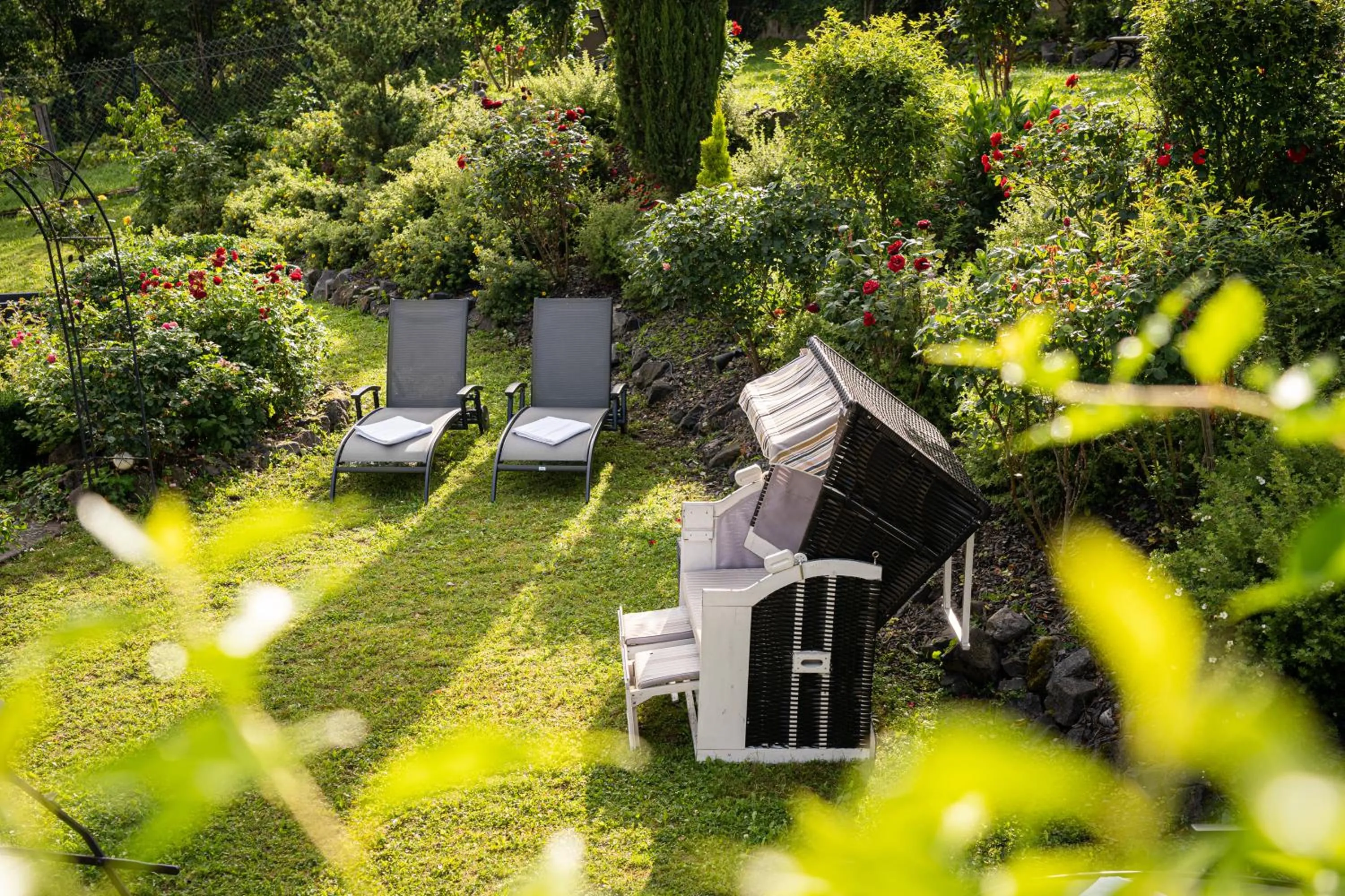 Garden in Hotel Pistono