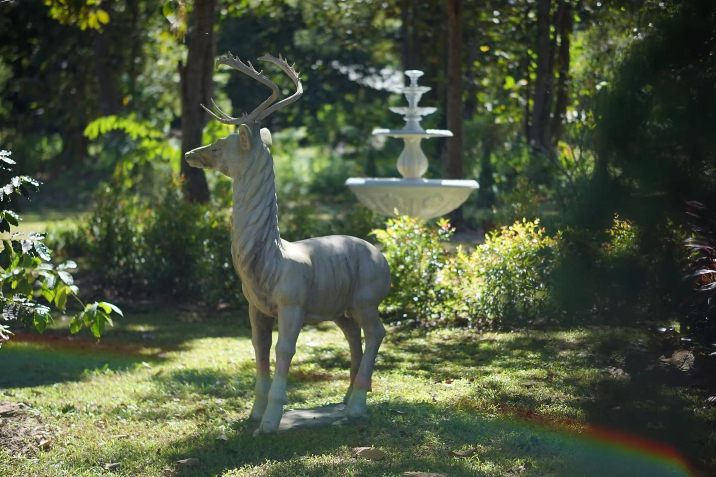 Natural landscape in Baan Pingkan Wellness Resort