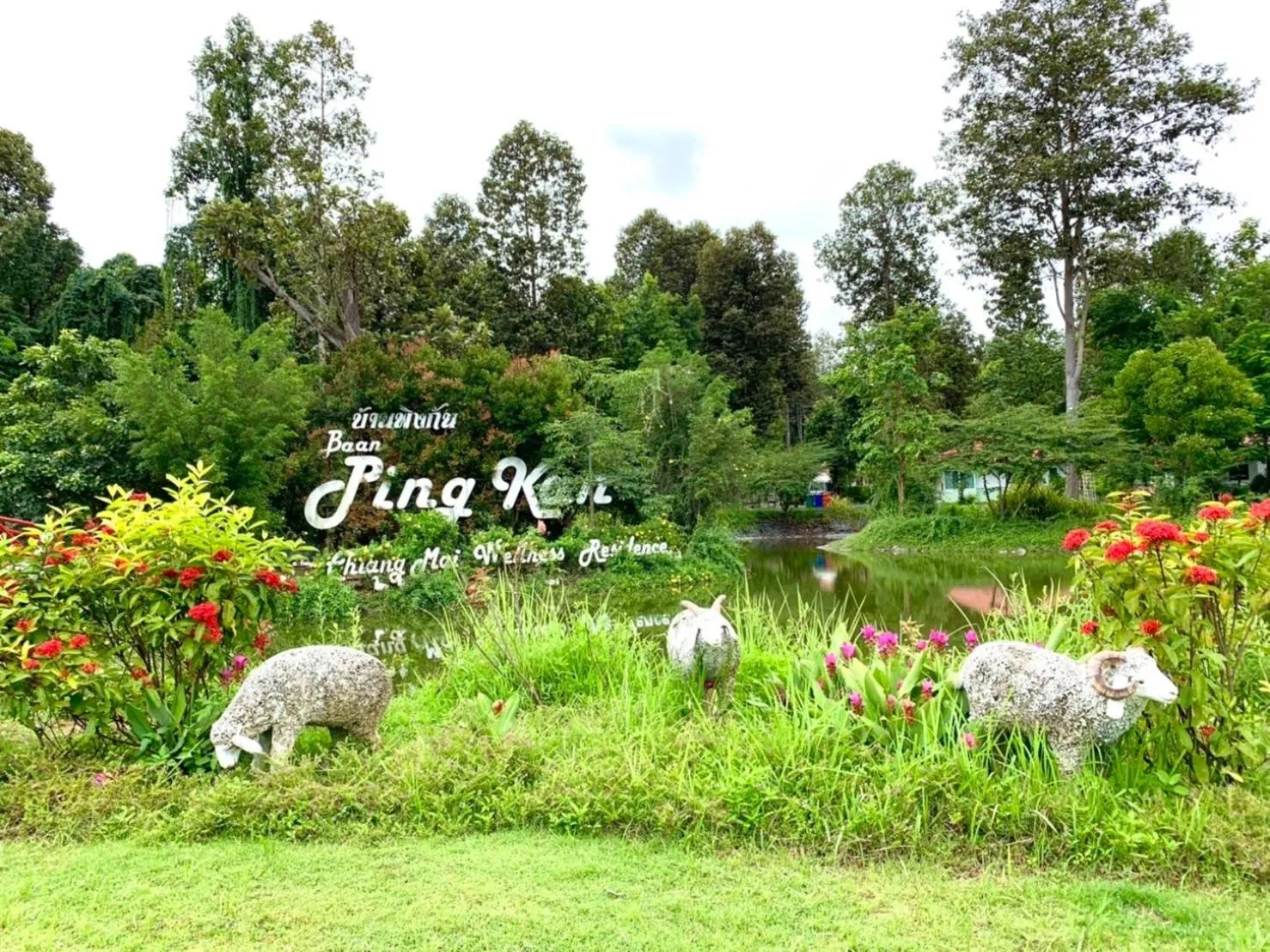 Natural landscape in Baan Pingkan Wellness Resort