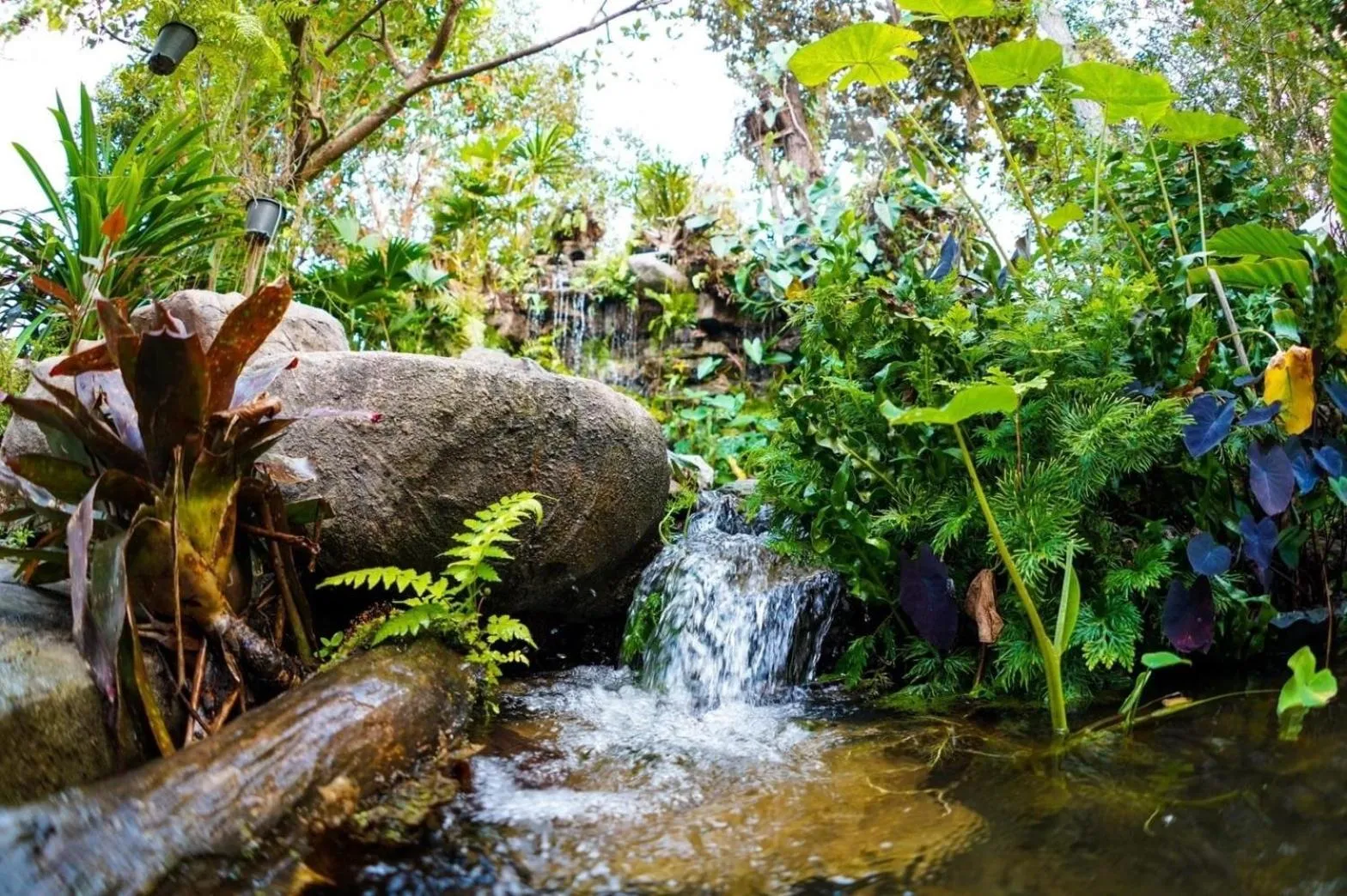 Natural landscape in Baan Pingkan Wellness Resort