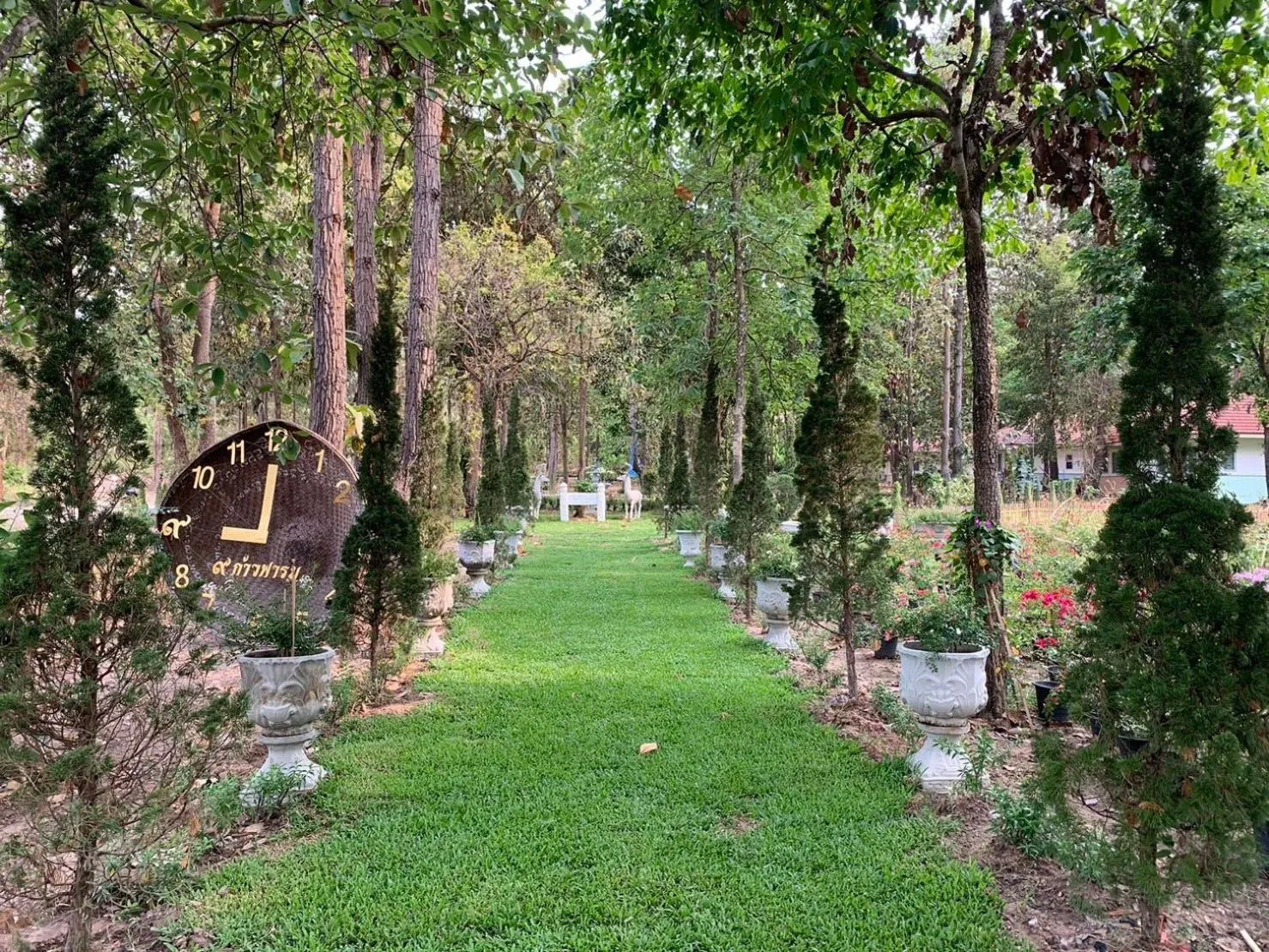 Natural landscape in Baan Pingkan Wellness Resort