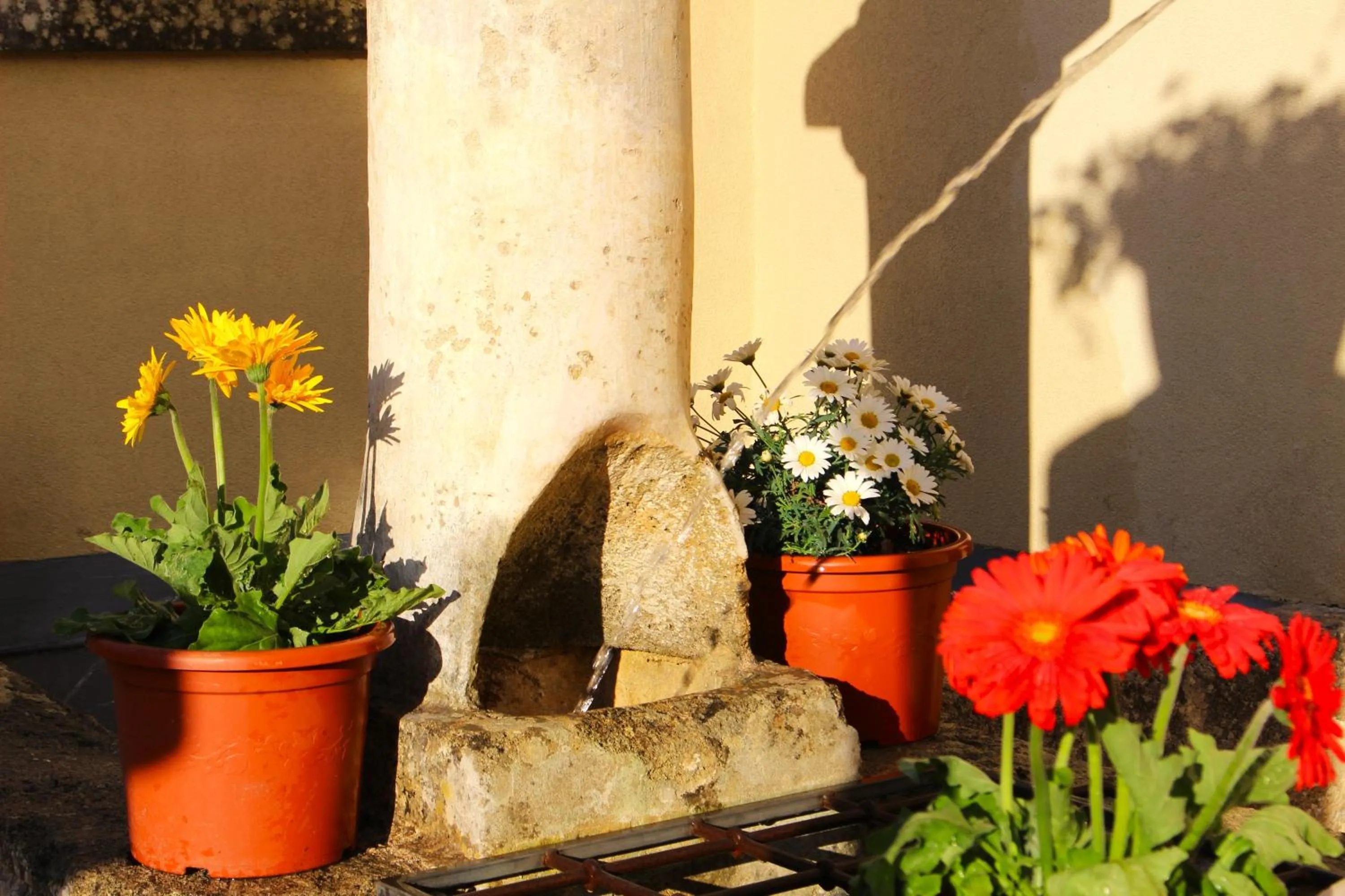 Garden in Palazzo Aurora