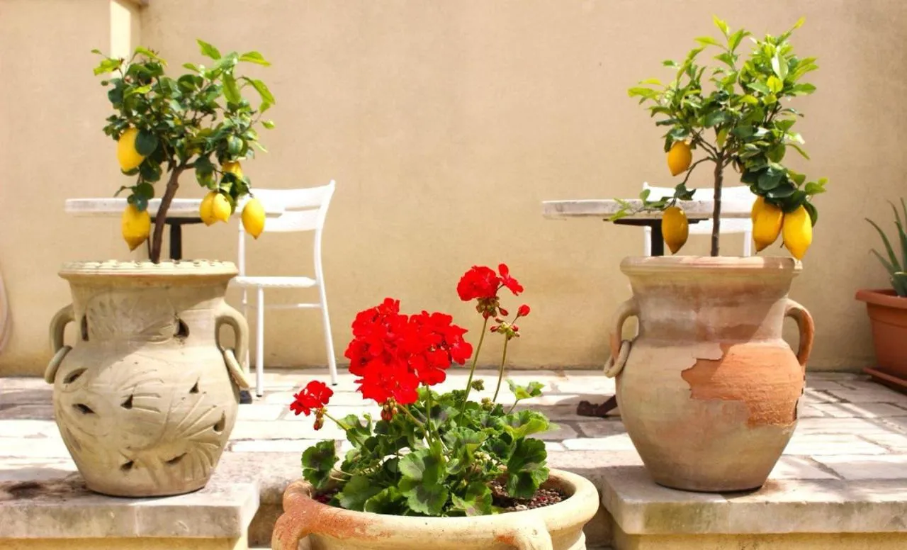 Garden in Palazzo Aurora