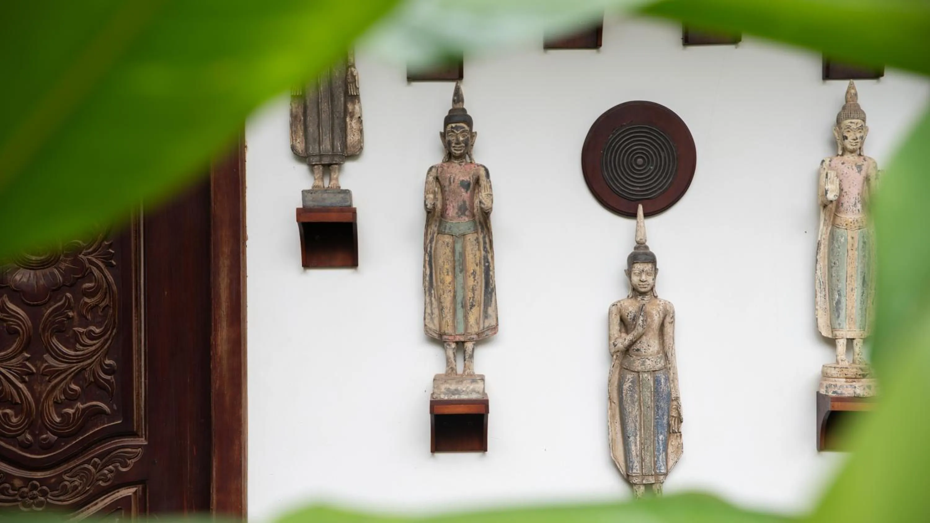 Decorative detail in Mane History Lovers