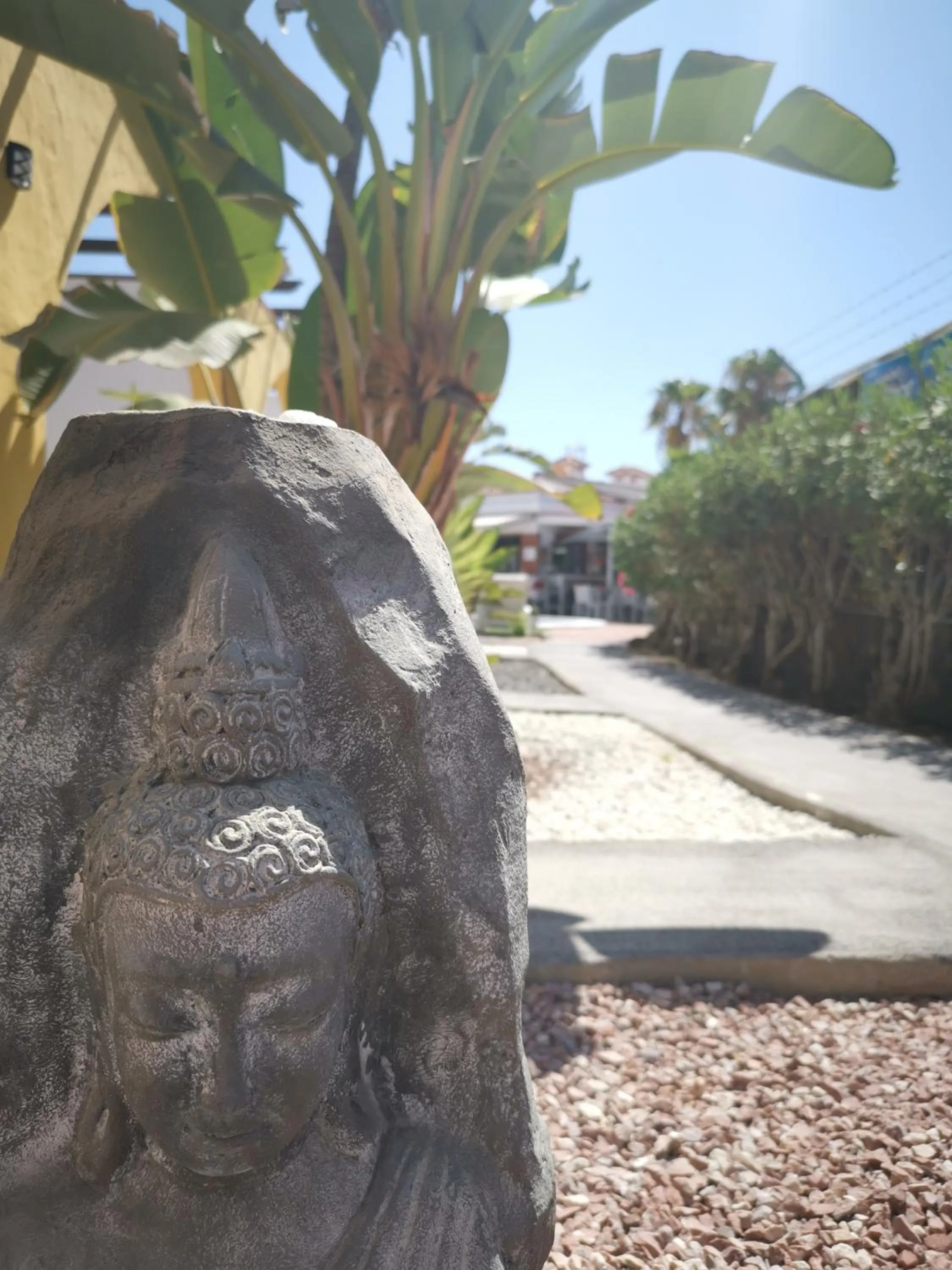 Garden in Rainbow Golf Bungalows, Gay Men-only Resort