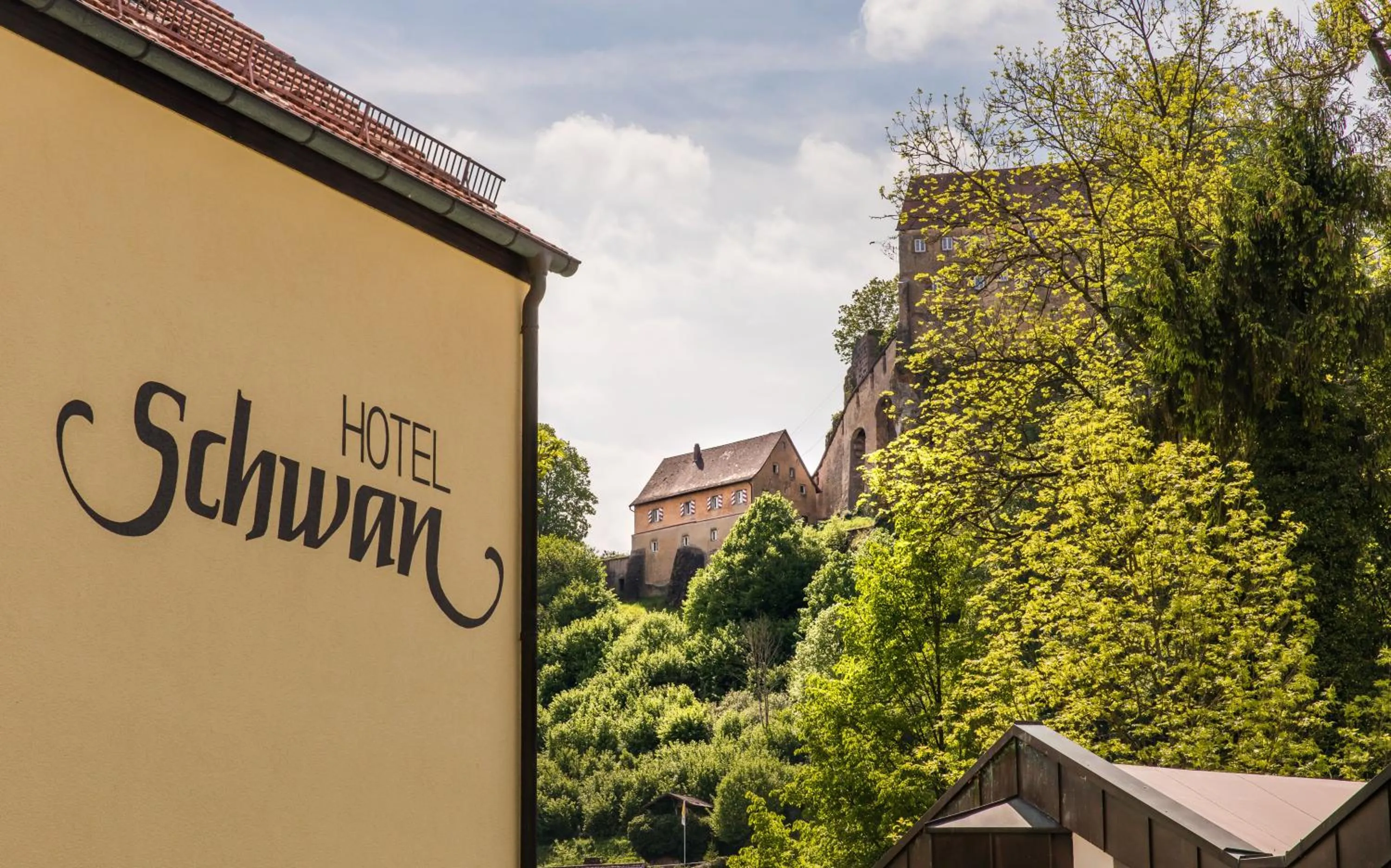 Landmark view in Hotel Schwan