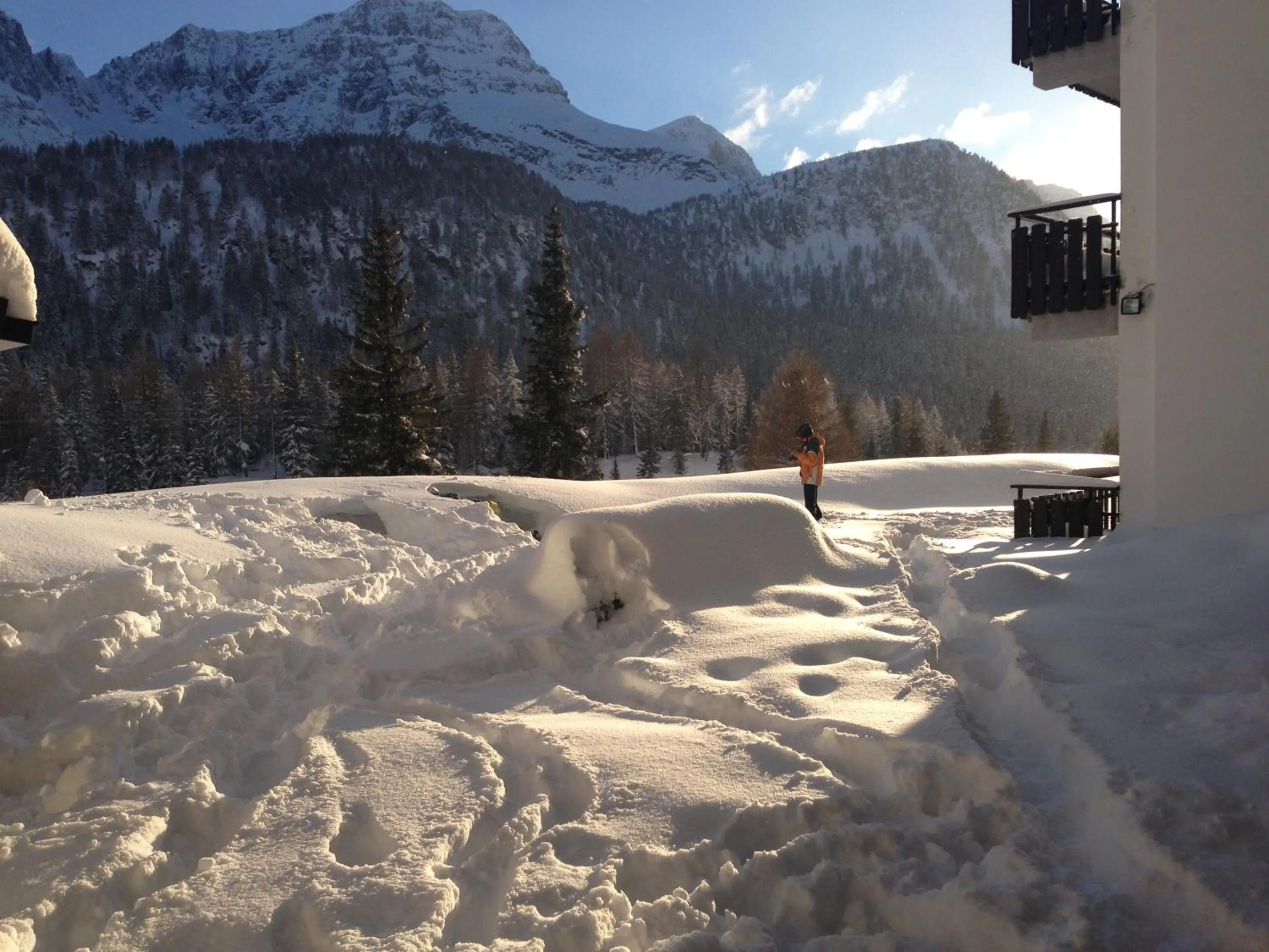 Winter in Residence Rododendro