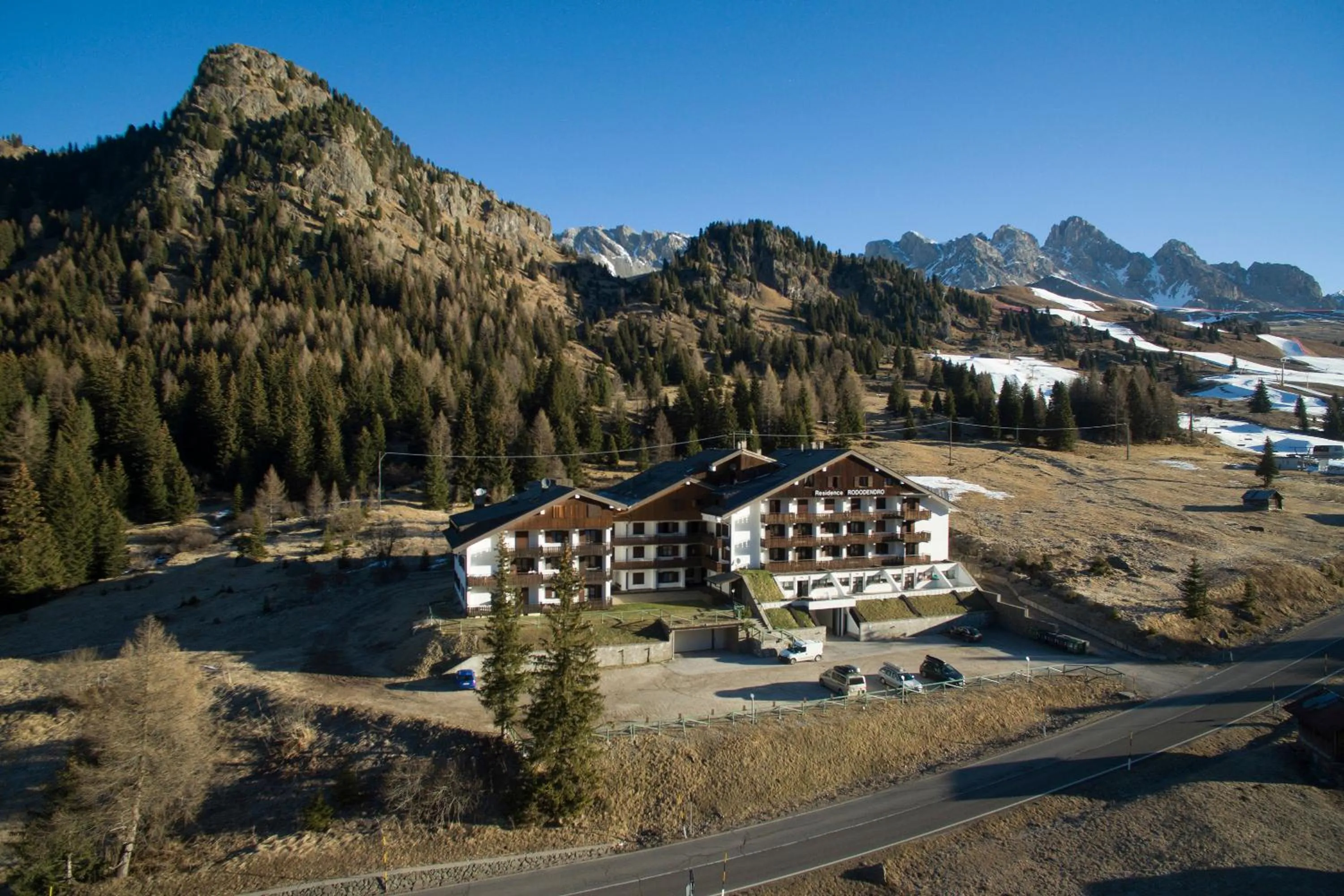 Spring in Residence Rododendro