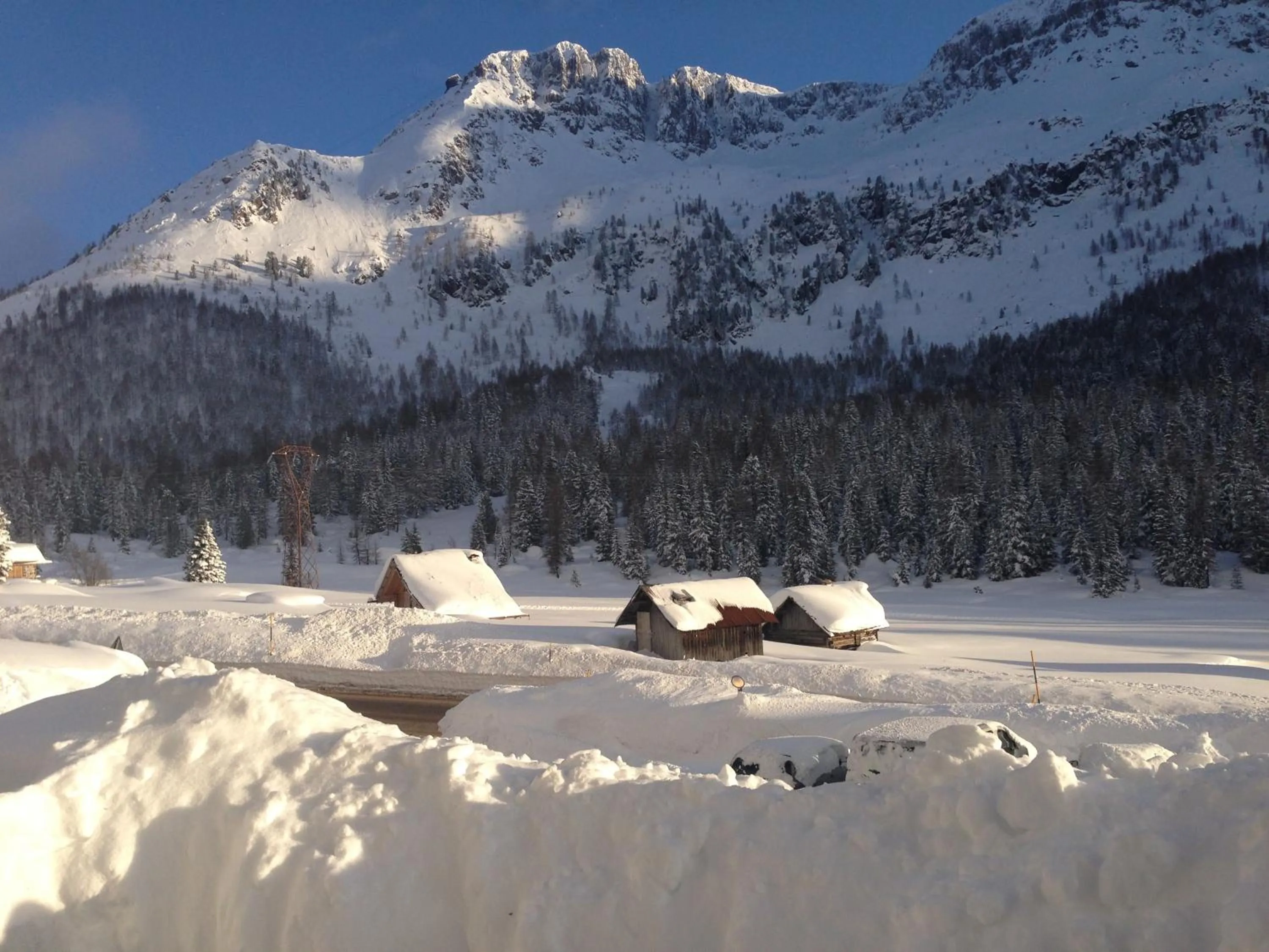 Winter in Residence Rododendro