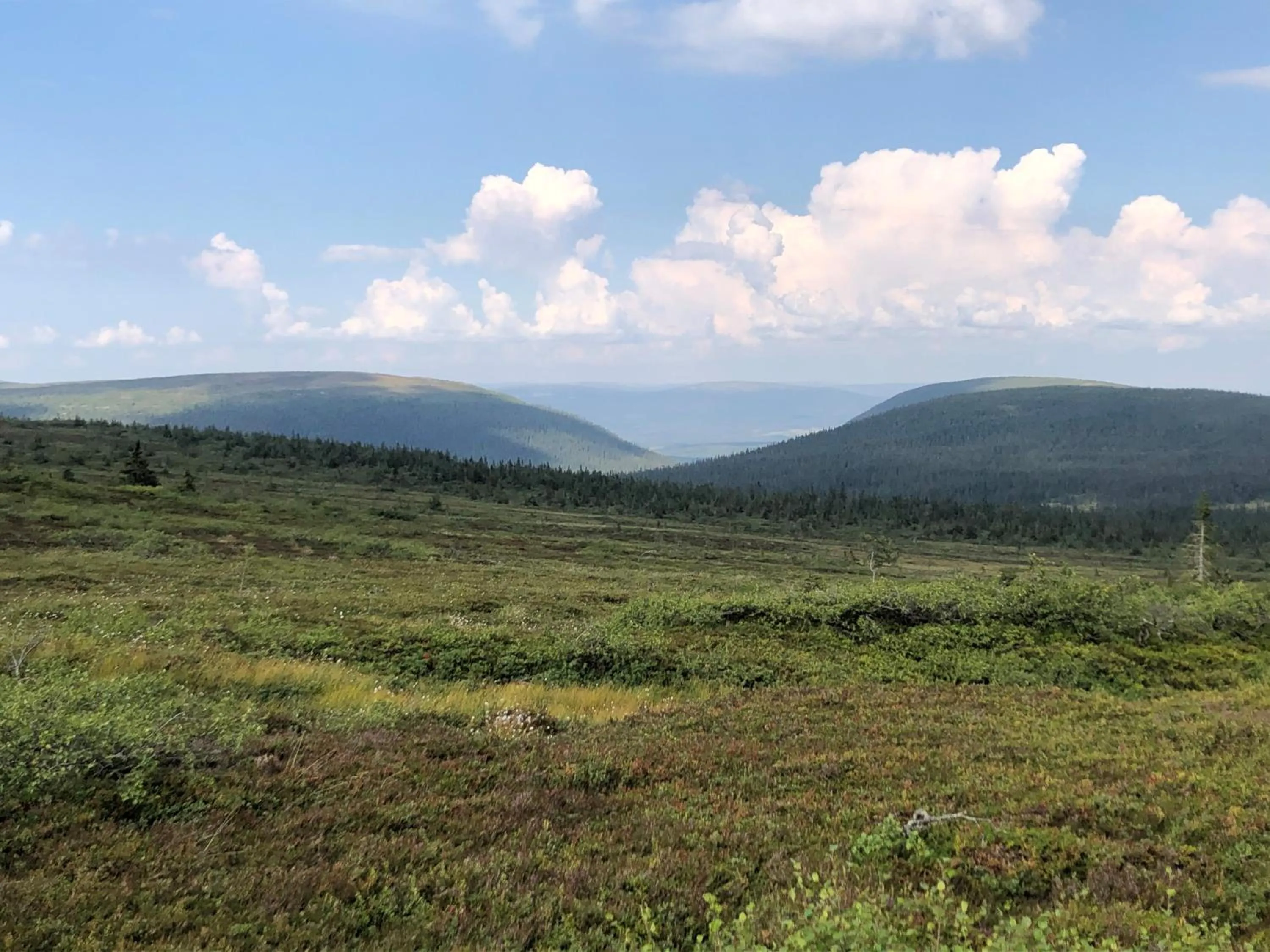 Hiking in Mountain Lodge