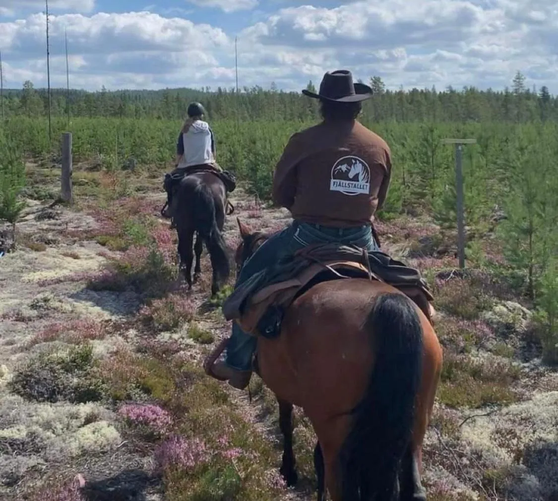 Horse-riding in Mountain Lodge