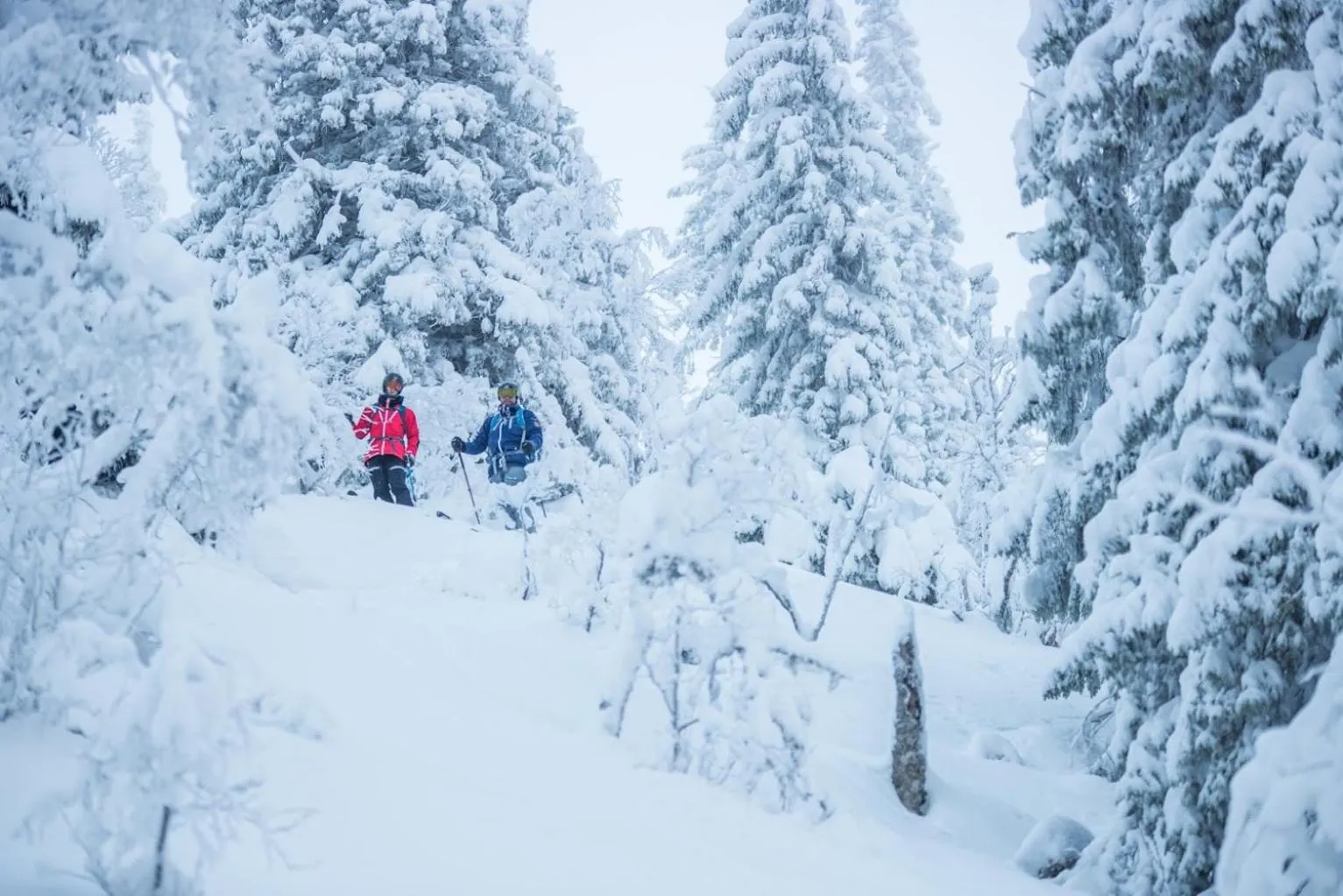 Day in Mountain Lodge