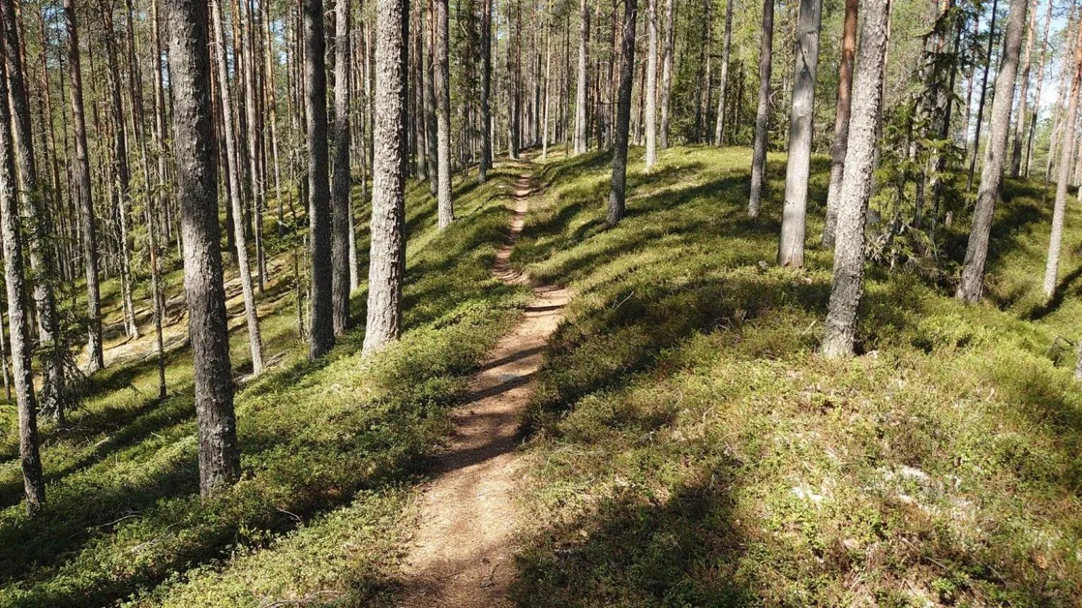 Cycling in Mountain Lodge