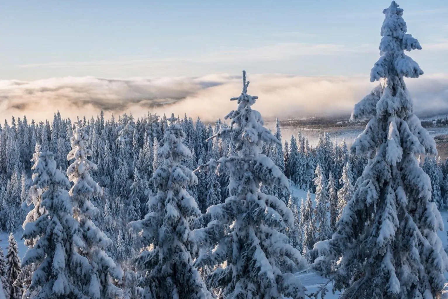 Winter in Mountain Lodge