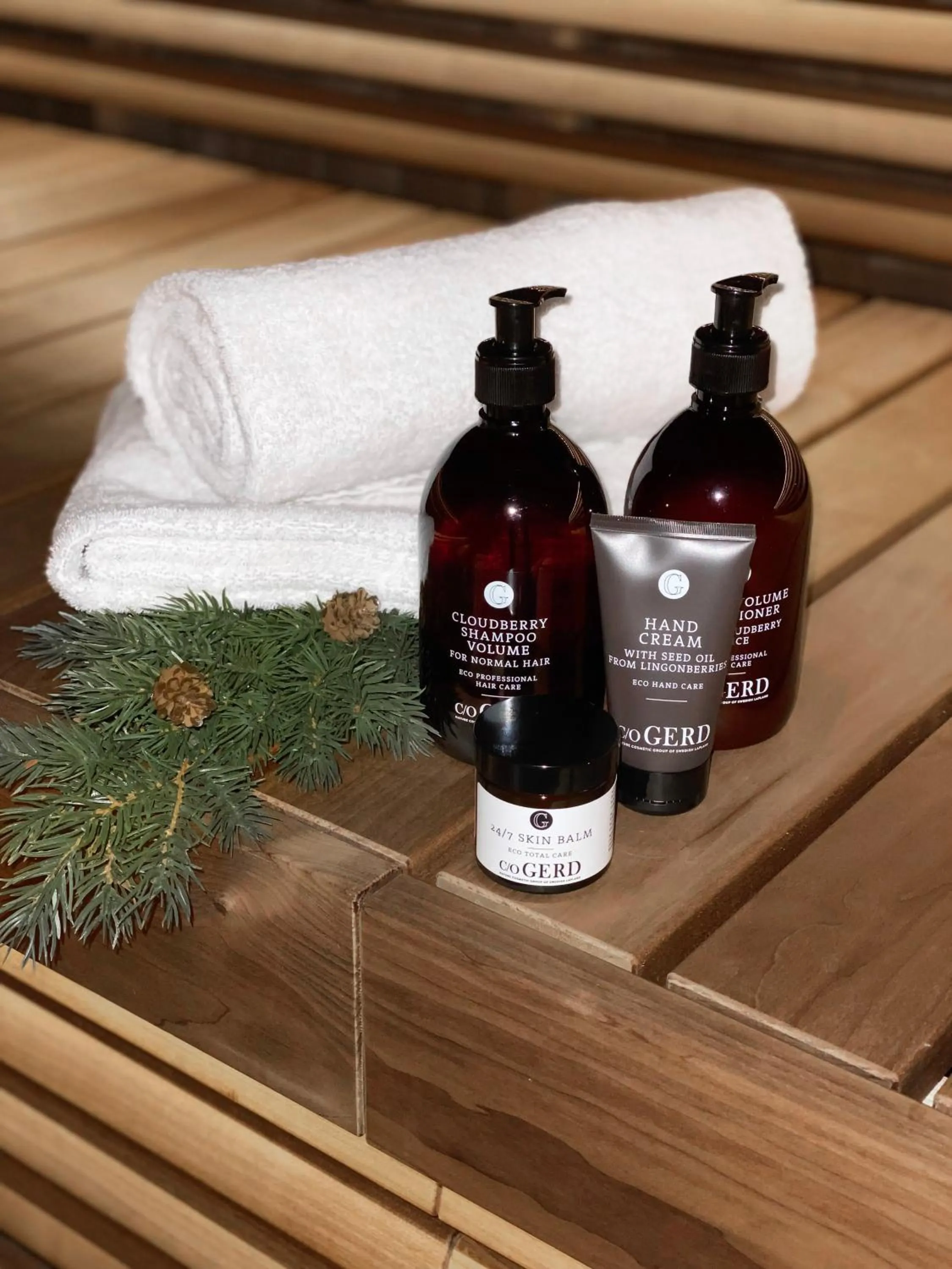 Sauna in Mountain Lodge