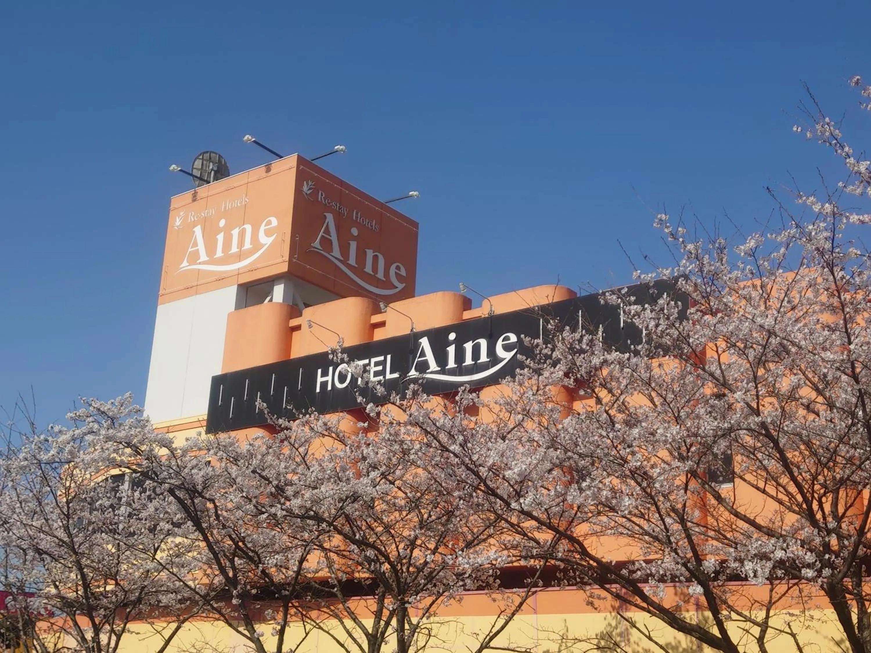 Koriyama Aine Adult Only