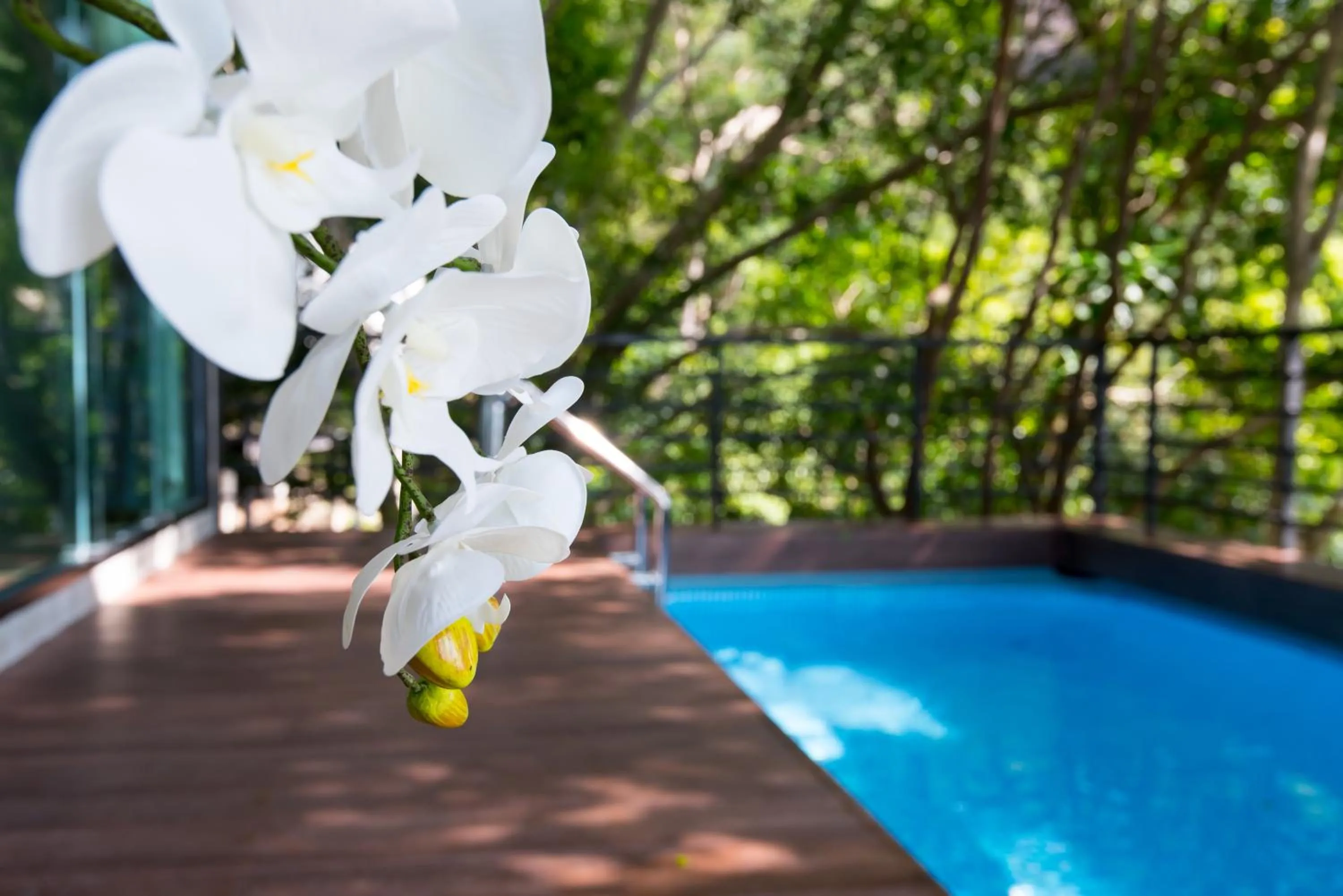 View (from property/room) in Matina Mountain Resort