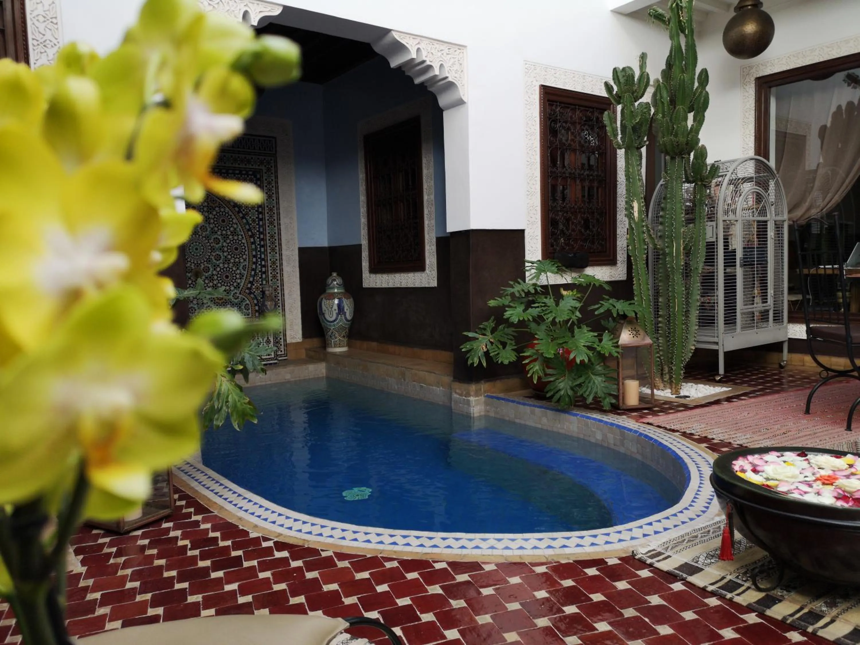 Swimming pool in Riad Charme d'Orient Adults Only