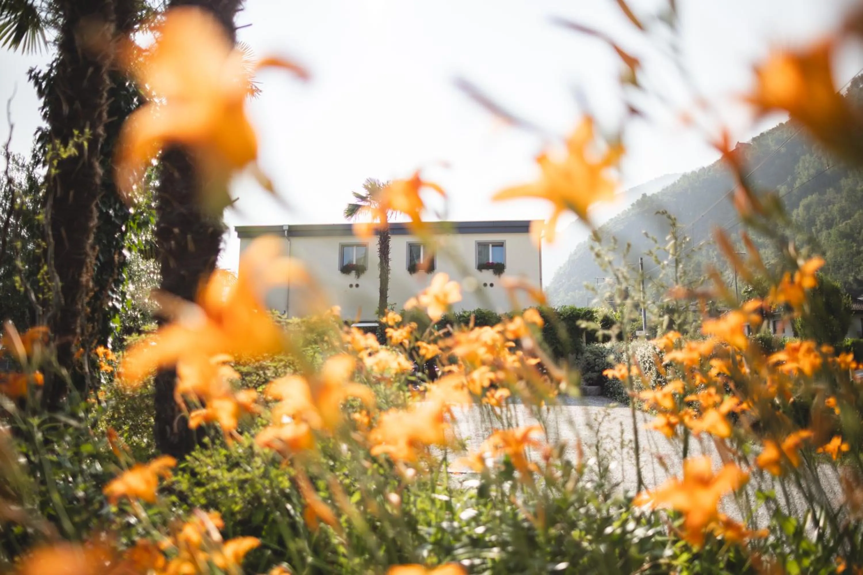 Property building in Charme Hotel Barbatè