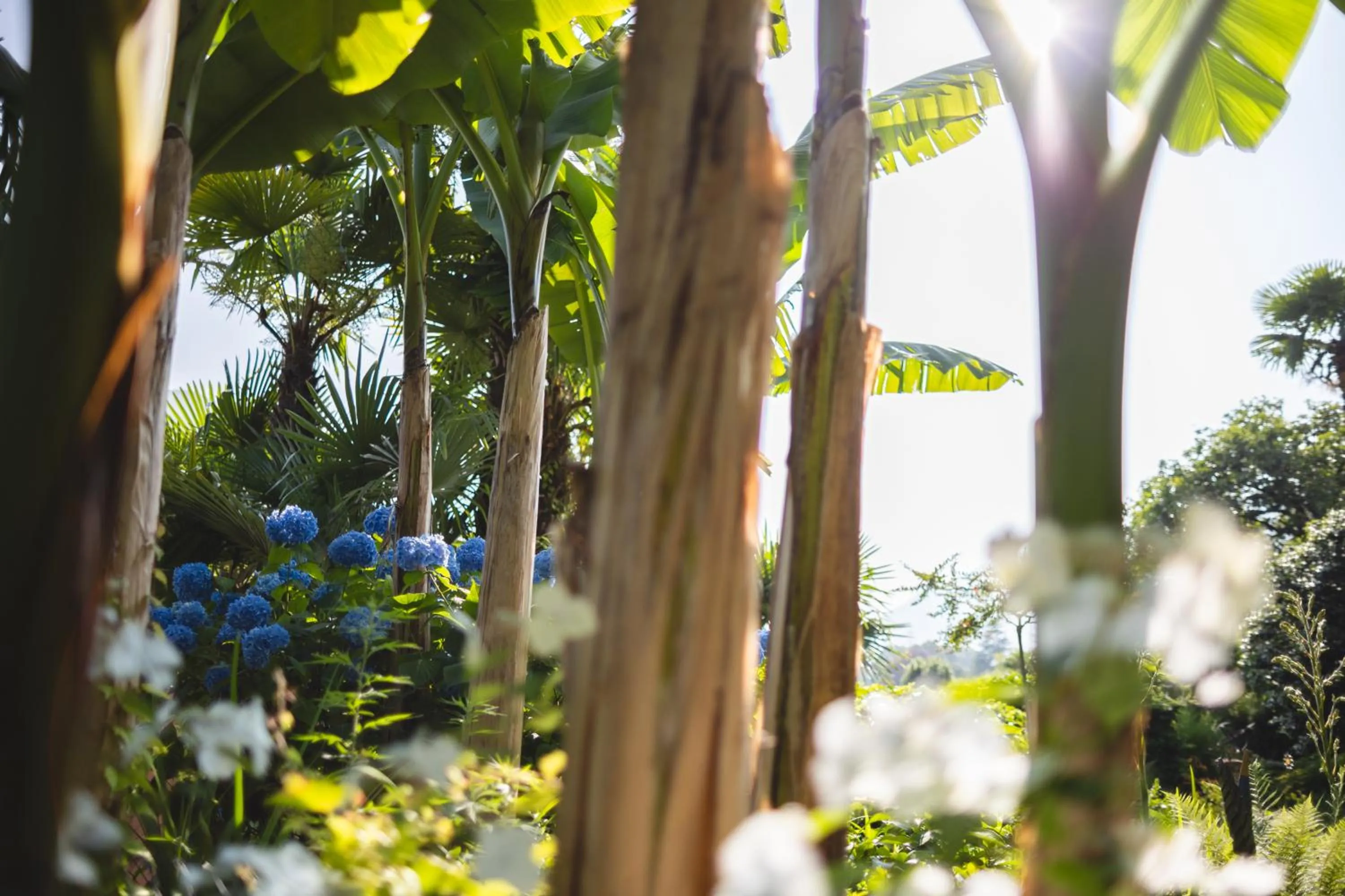 Natural landscape in Charme Hotel Barbatè