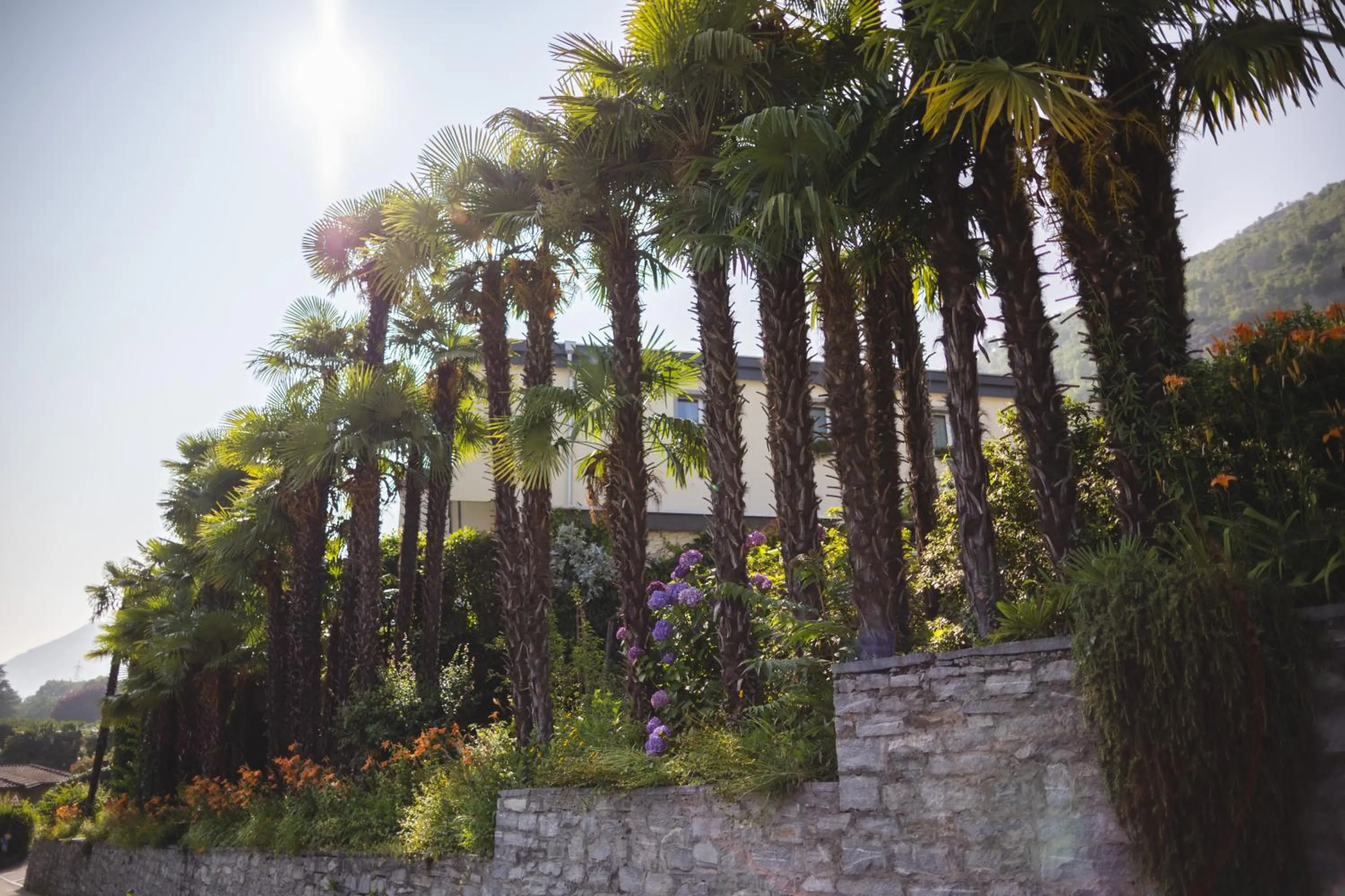 Natural landscape in Charme Hotel Barbatè