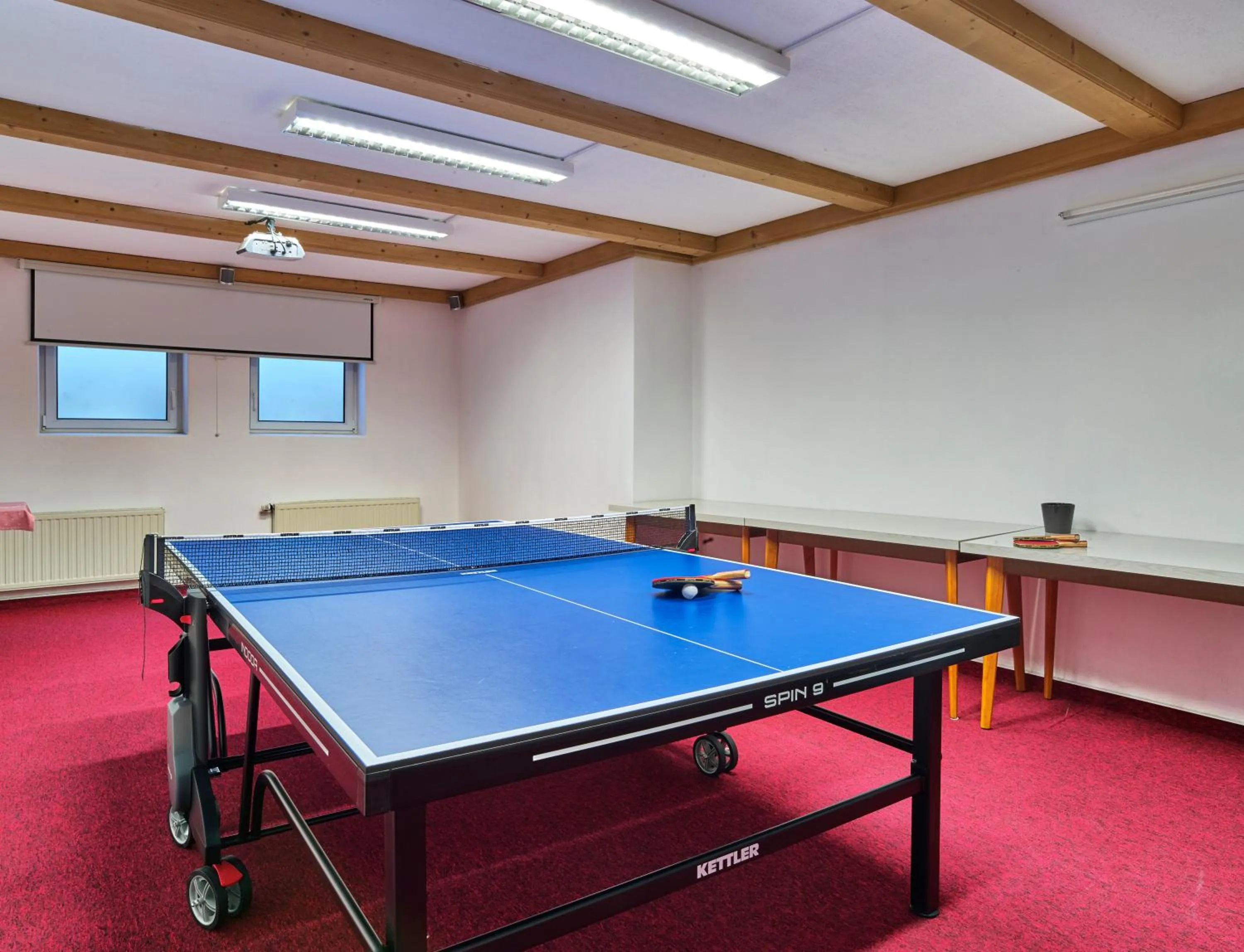 Table tennis in Hotel Eisensteiner Hof