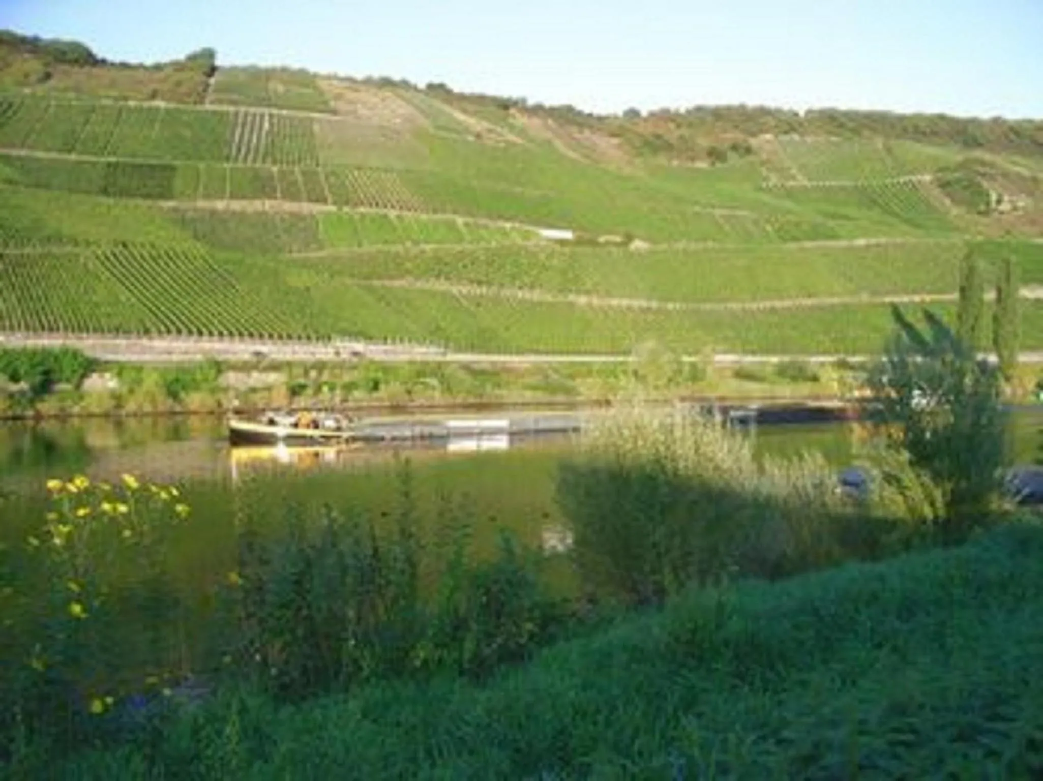 Hiking in Hotel Weinhaus Weis