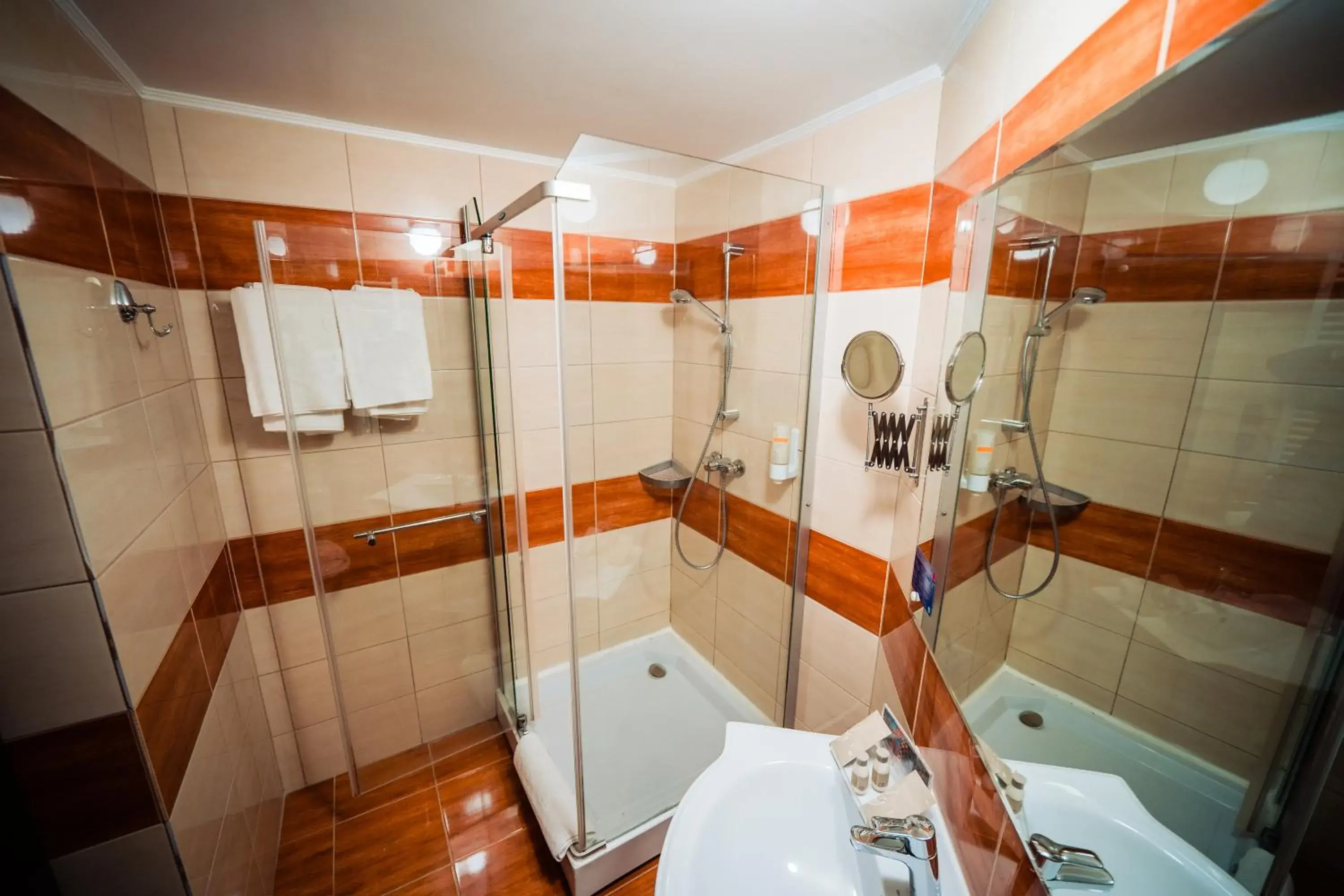 Bathroom in Bacolux Afrodita, Herculane Bathroom in Bacolux Afrodita, Herculane