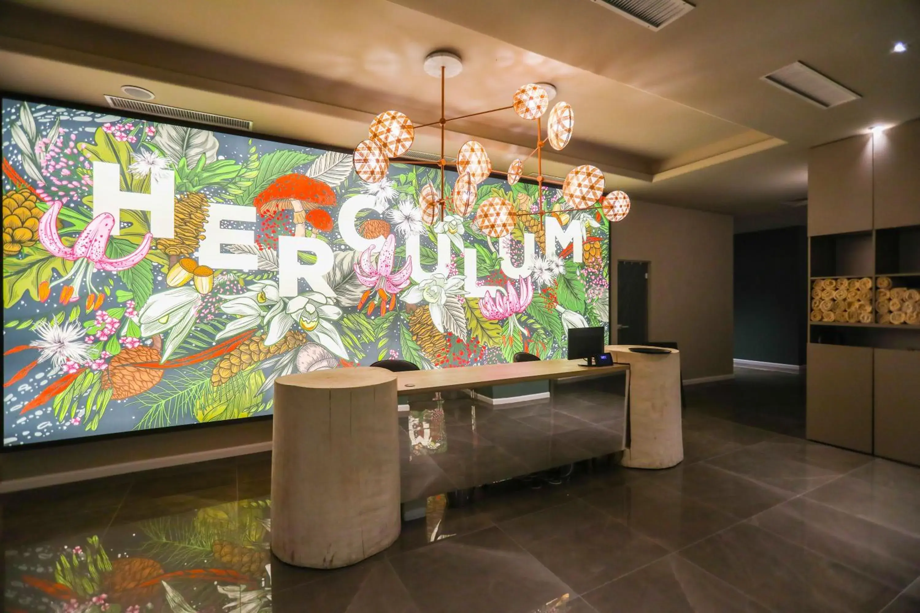 Lobby or reception in Bacolux Afrodita, Herculane Lobby or reception in Bacolux Afrodita, Herculane