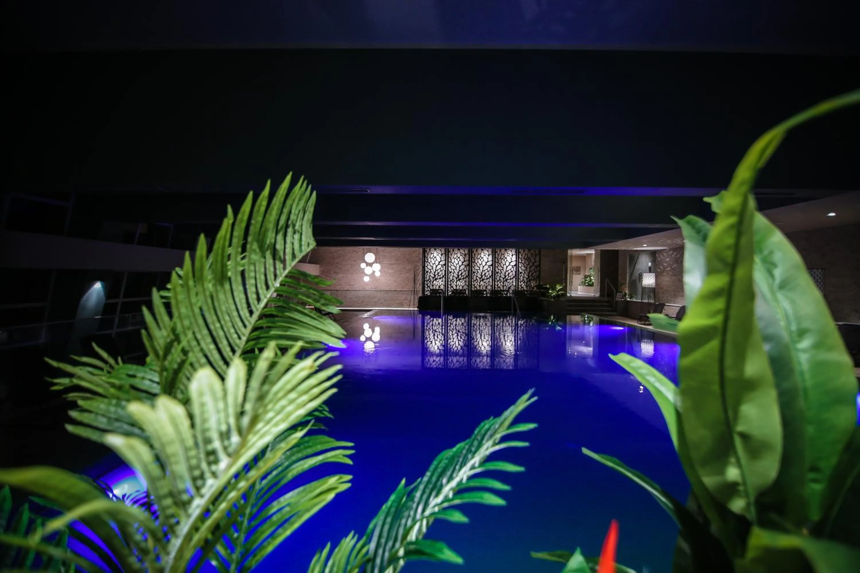 Swimming pool in Bacolux Afrodita, Herculane