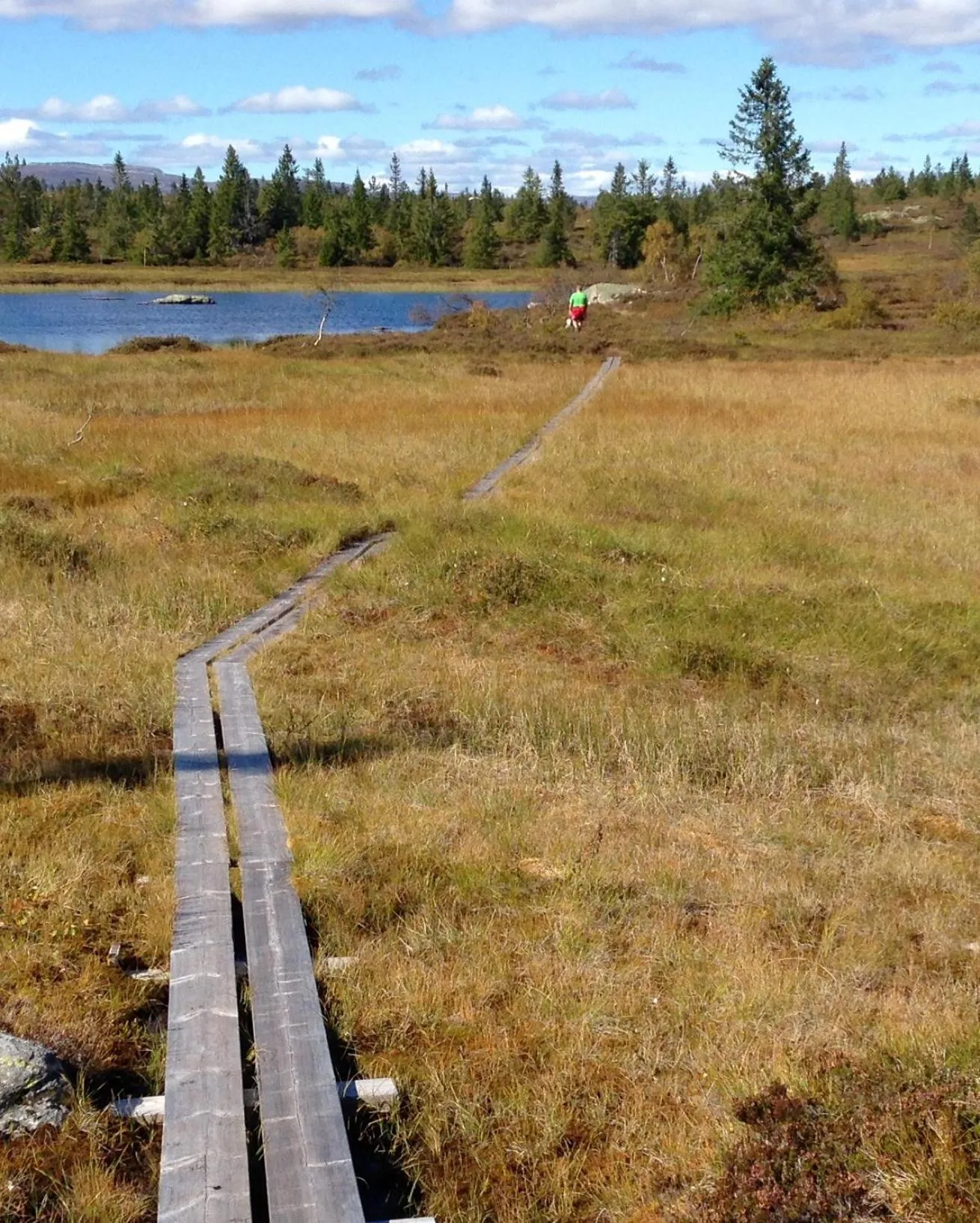 Natural landscape in Blefjell Lodge
